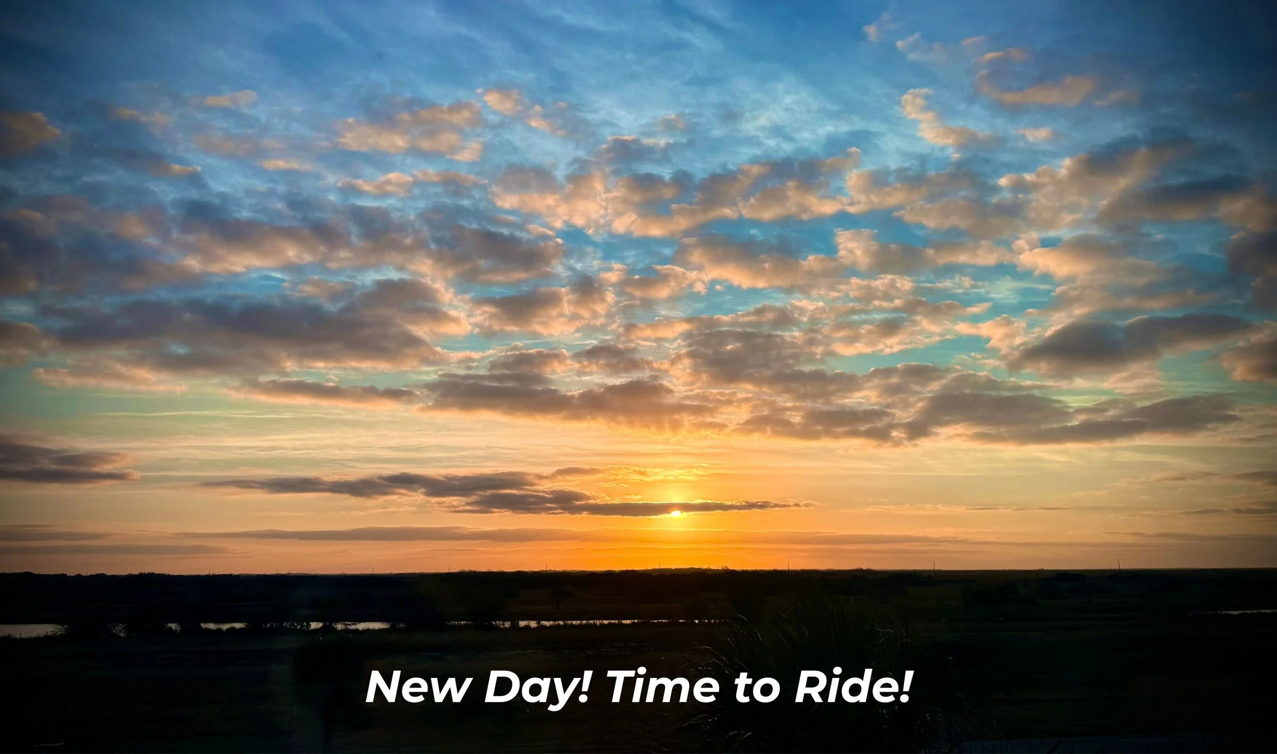 Library - 1 of 3.jpeg