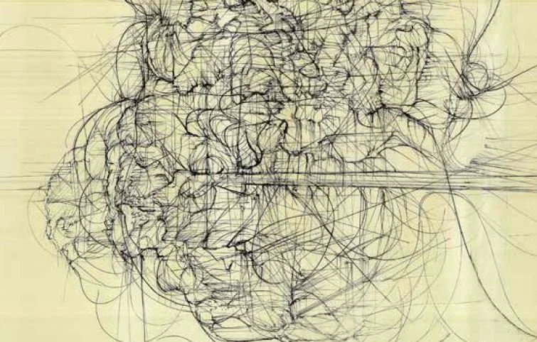 La organización de la memoria