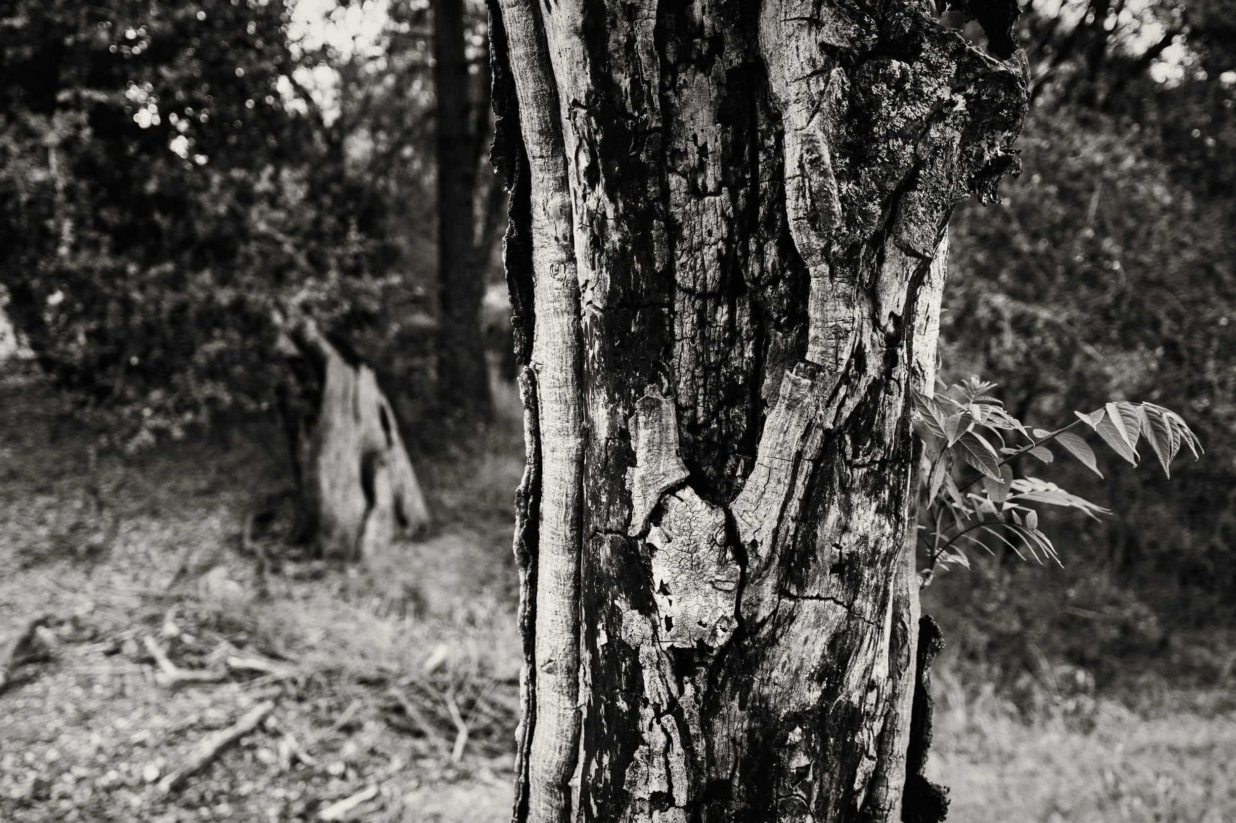 The Art of the Edge: Putting Slow Photography into Practice