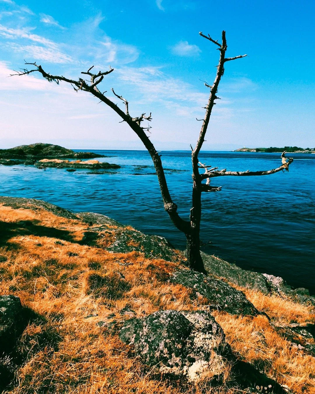 #Lumix #LumixL10 #LopezIsland