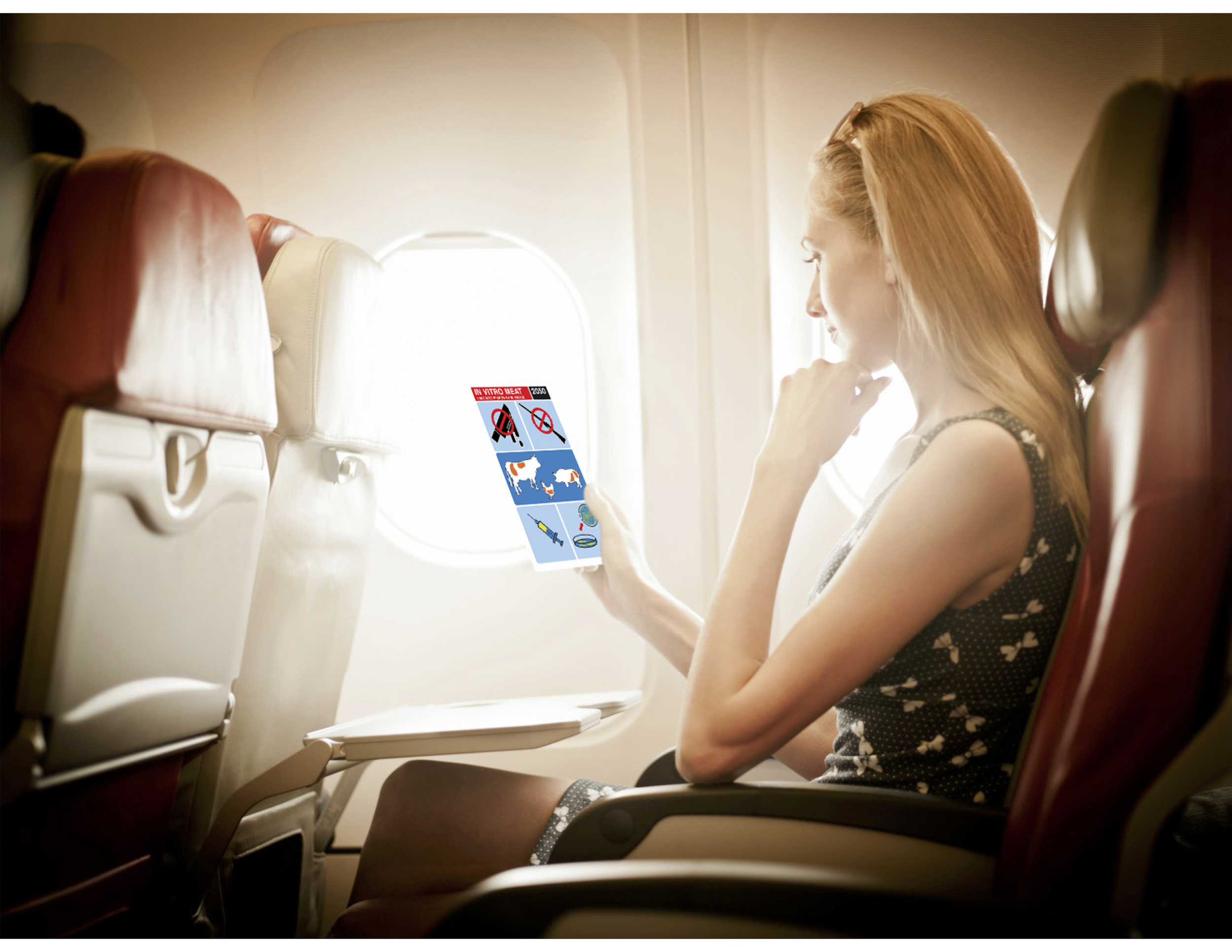 Schema pamphlet in-flight.png