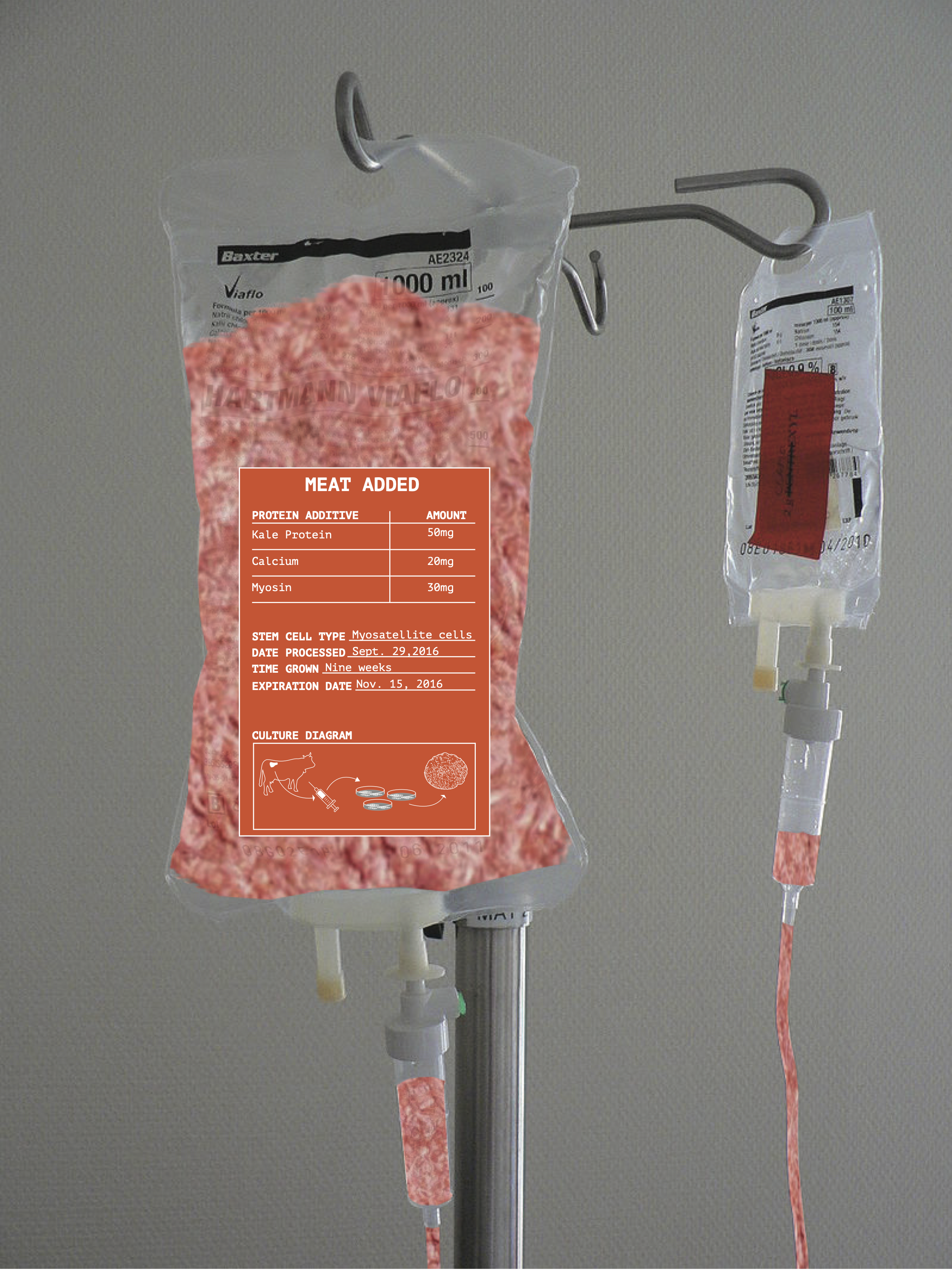 Schema Meat IV.png