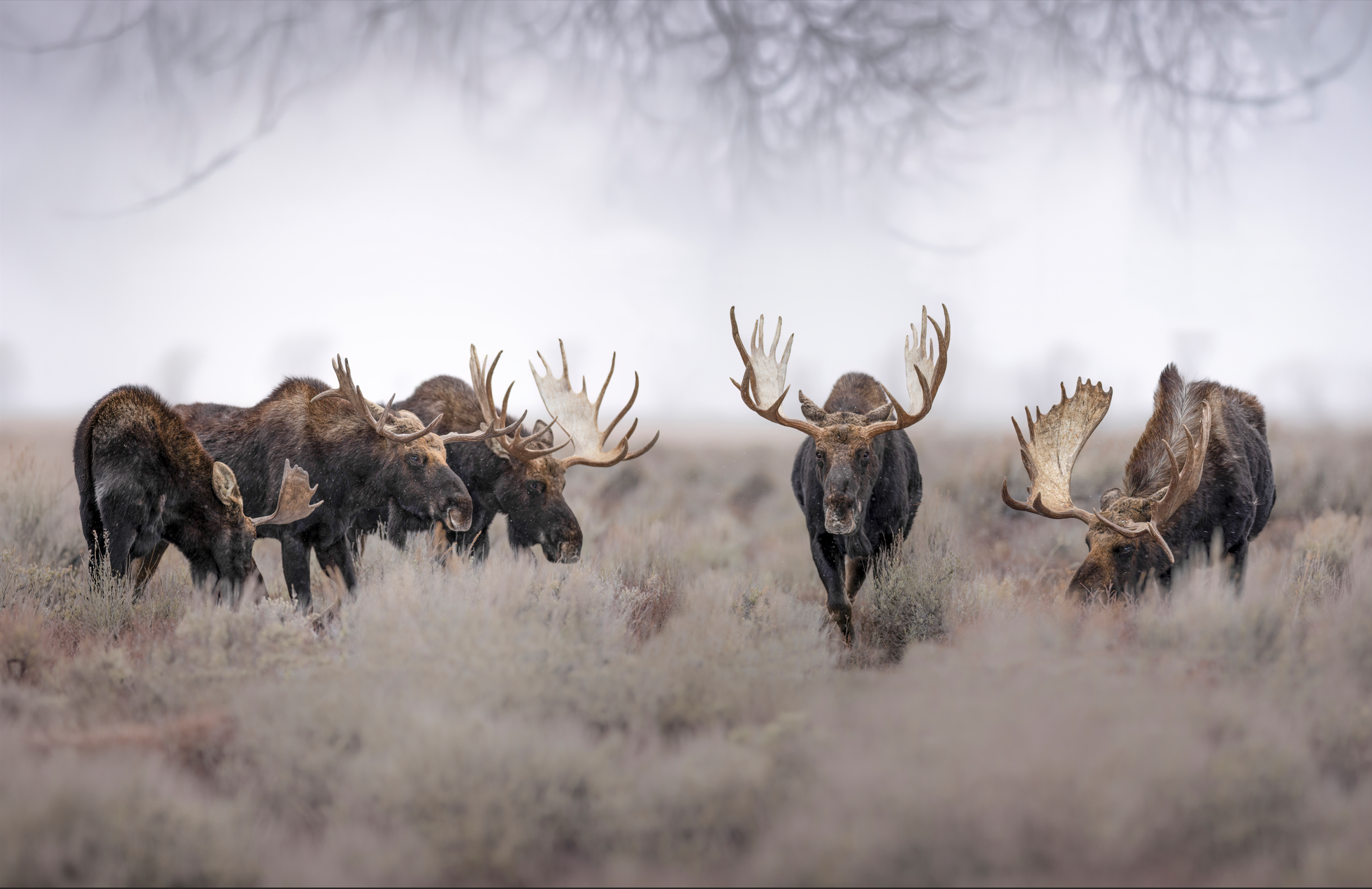 Screenshot 2026-04-08 095306.png