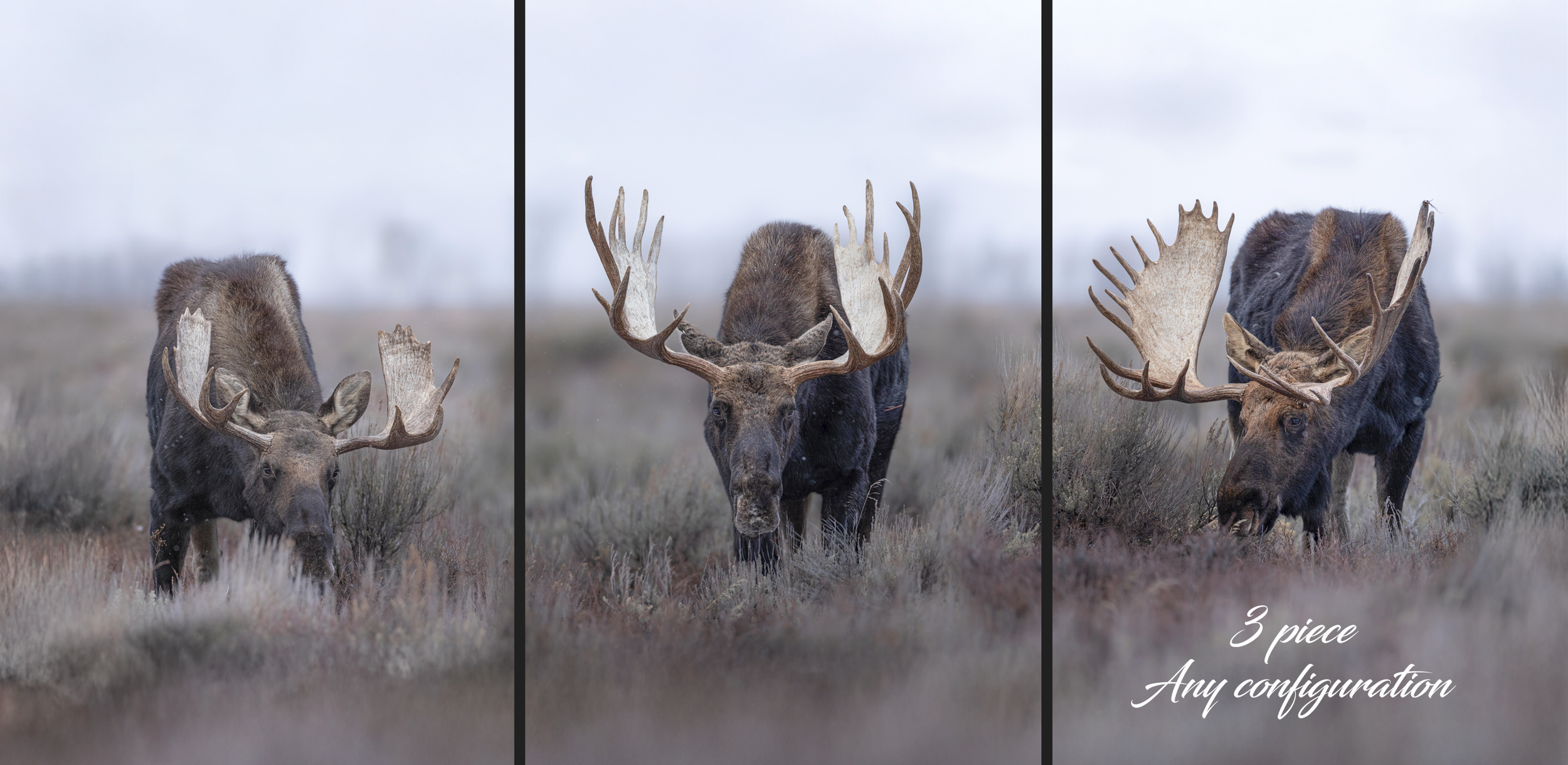 Screenshot 2026-04-08 100355.png