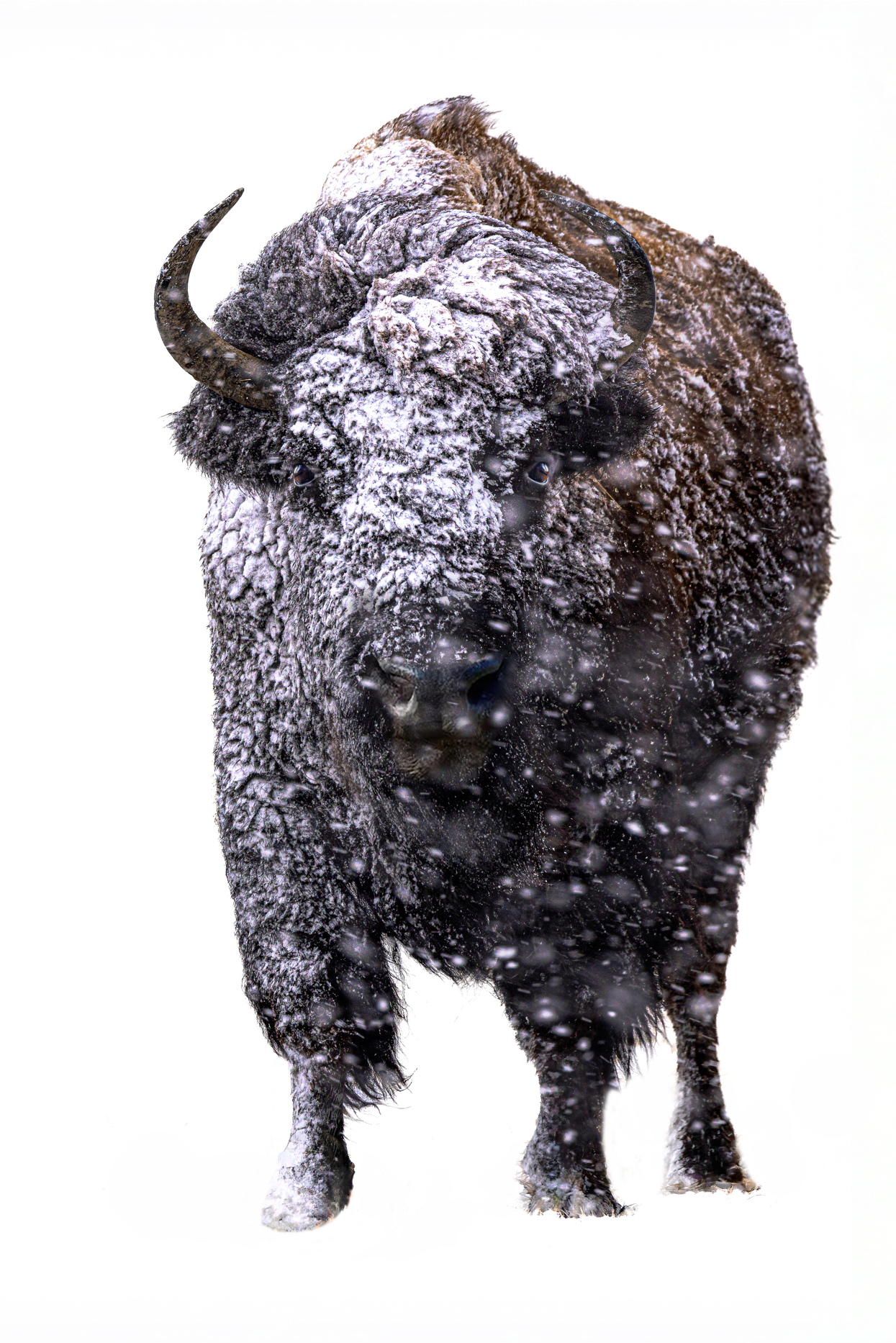 Screenshot 2026-03-14 173552.png