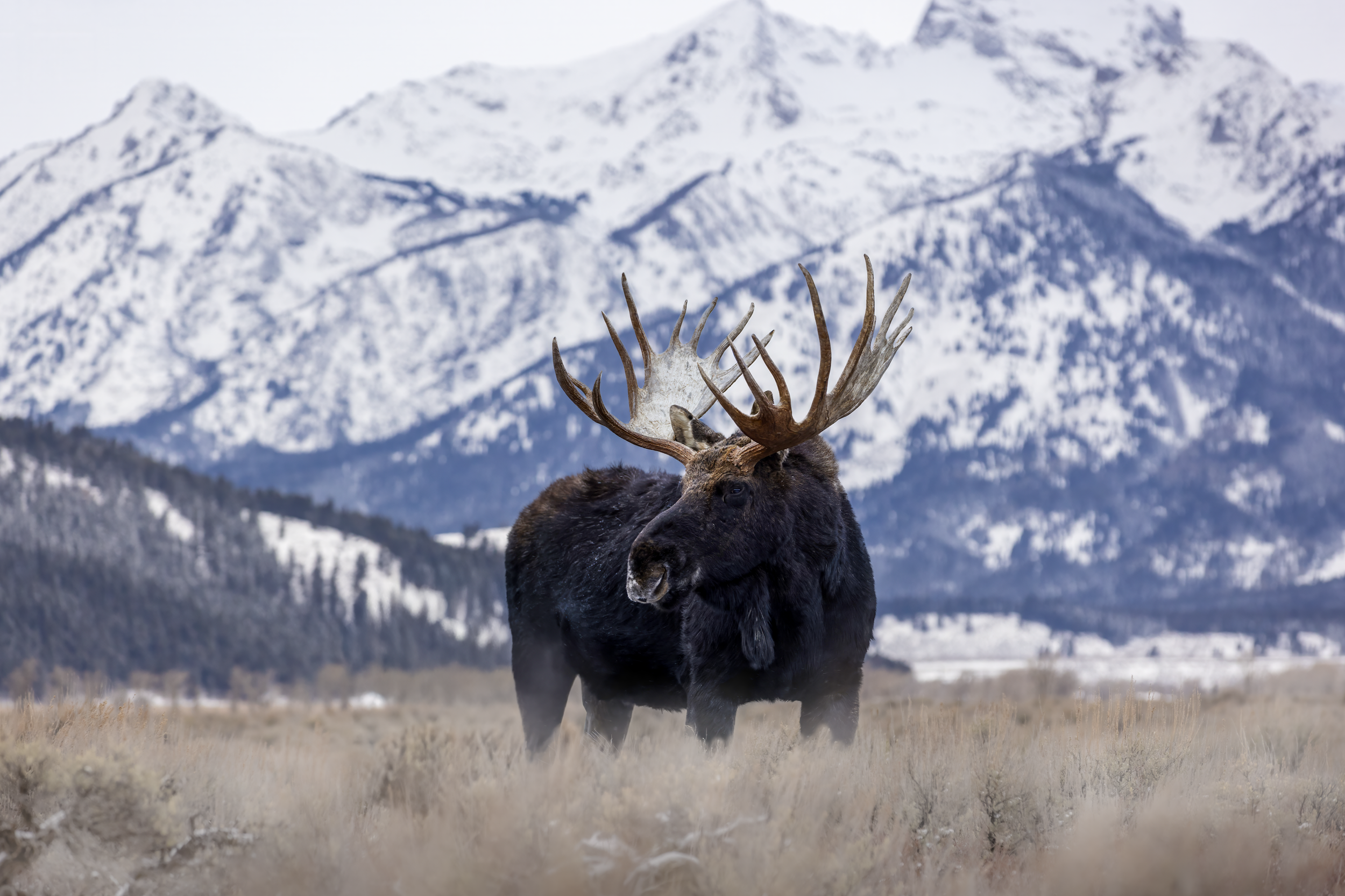 Screenshot 2026-03-14 173818.png