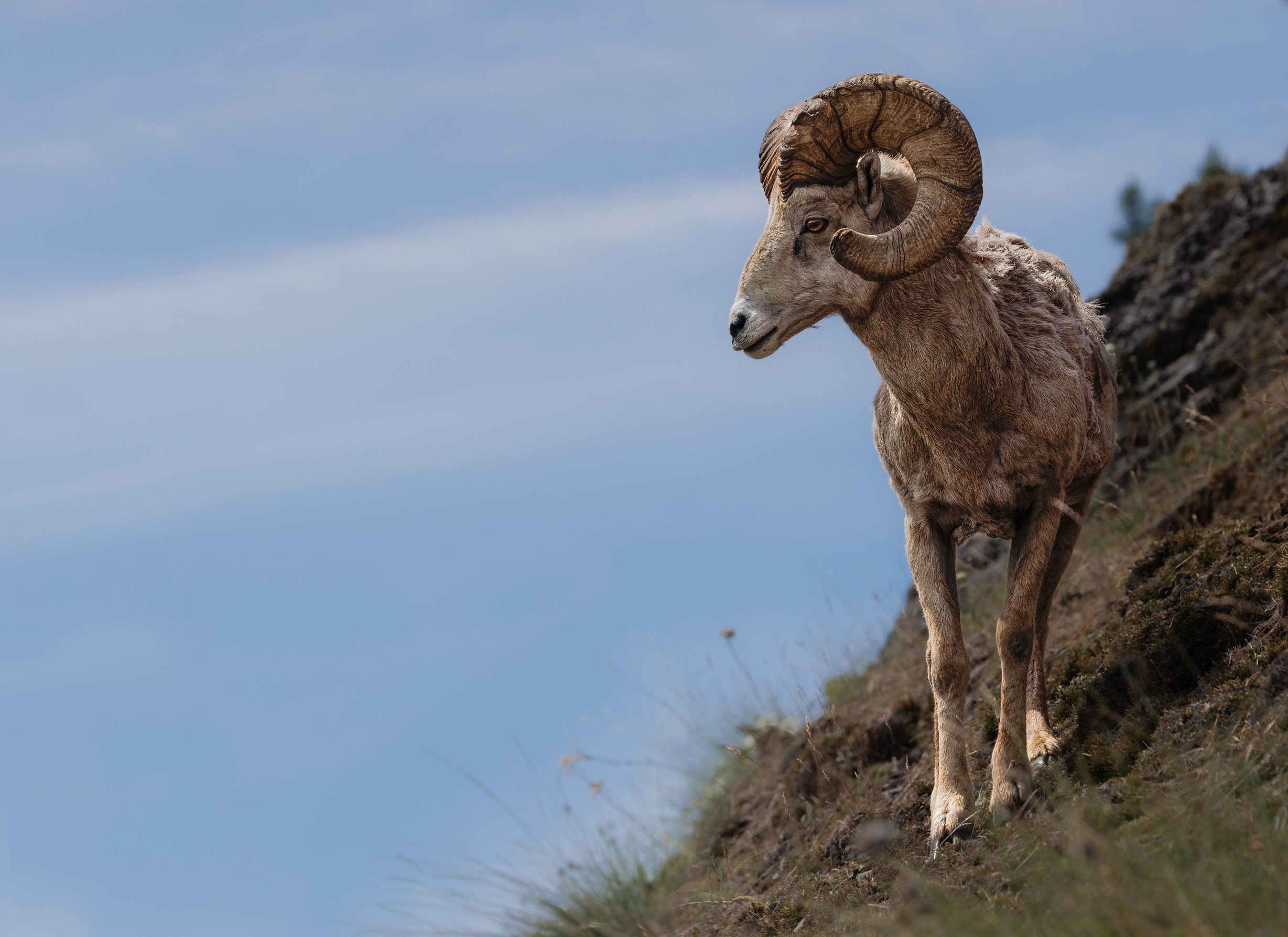 Screenshot 2026-03-14 173756.png