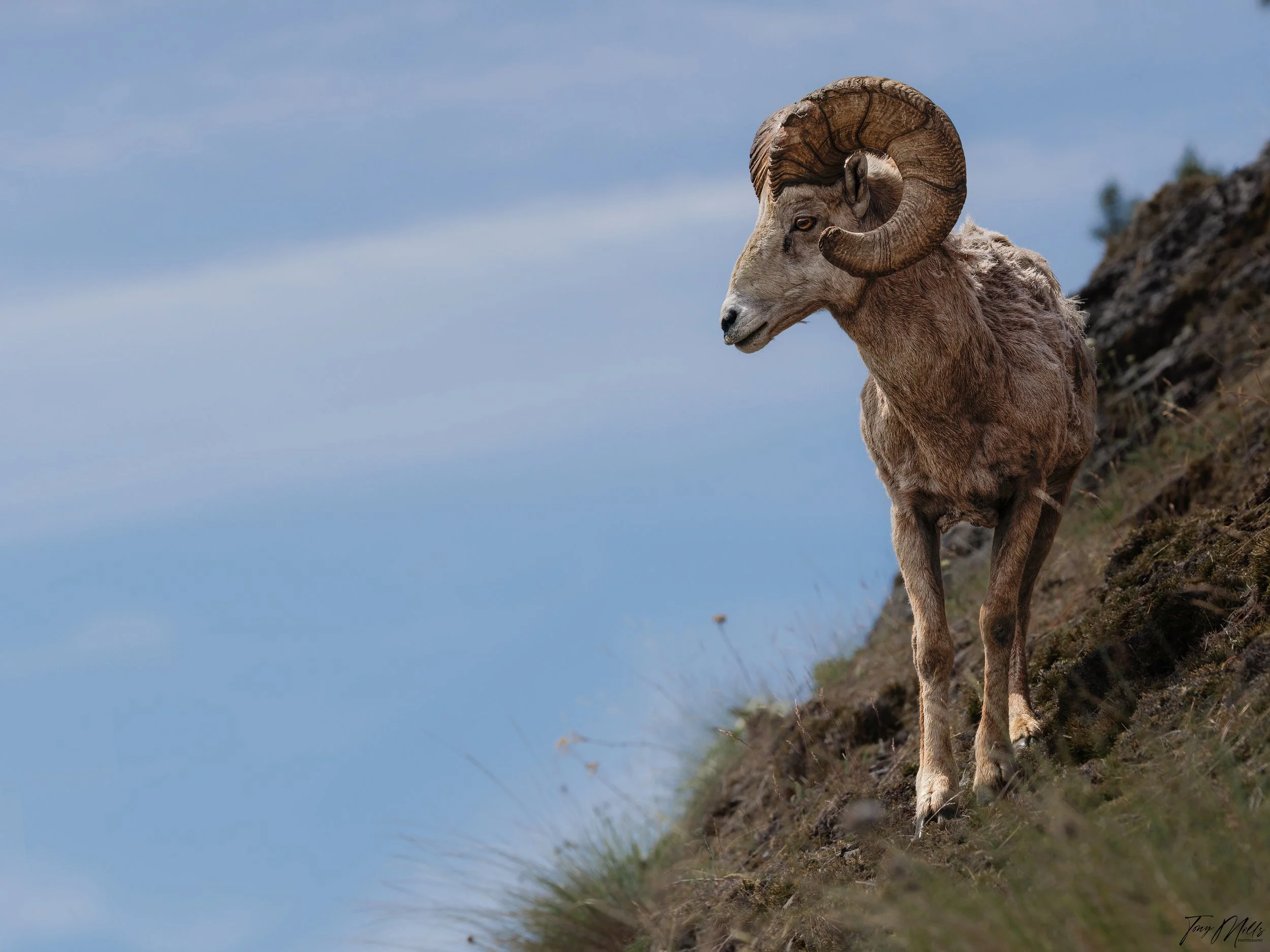 _33A5302-Edit-with texture.jpg