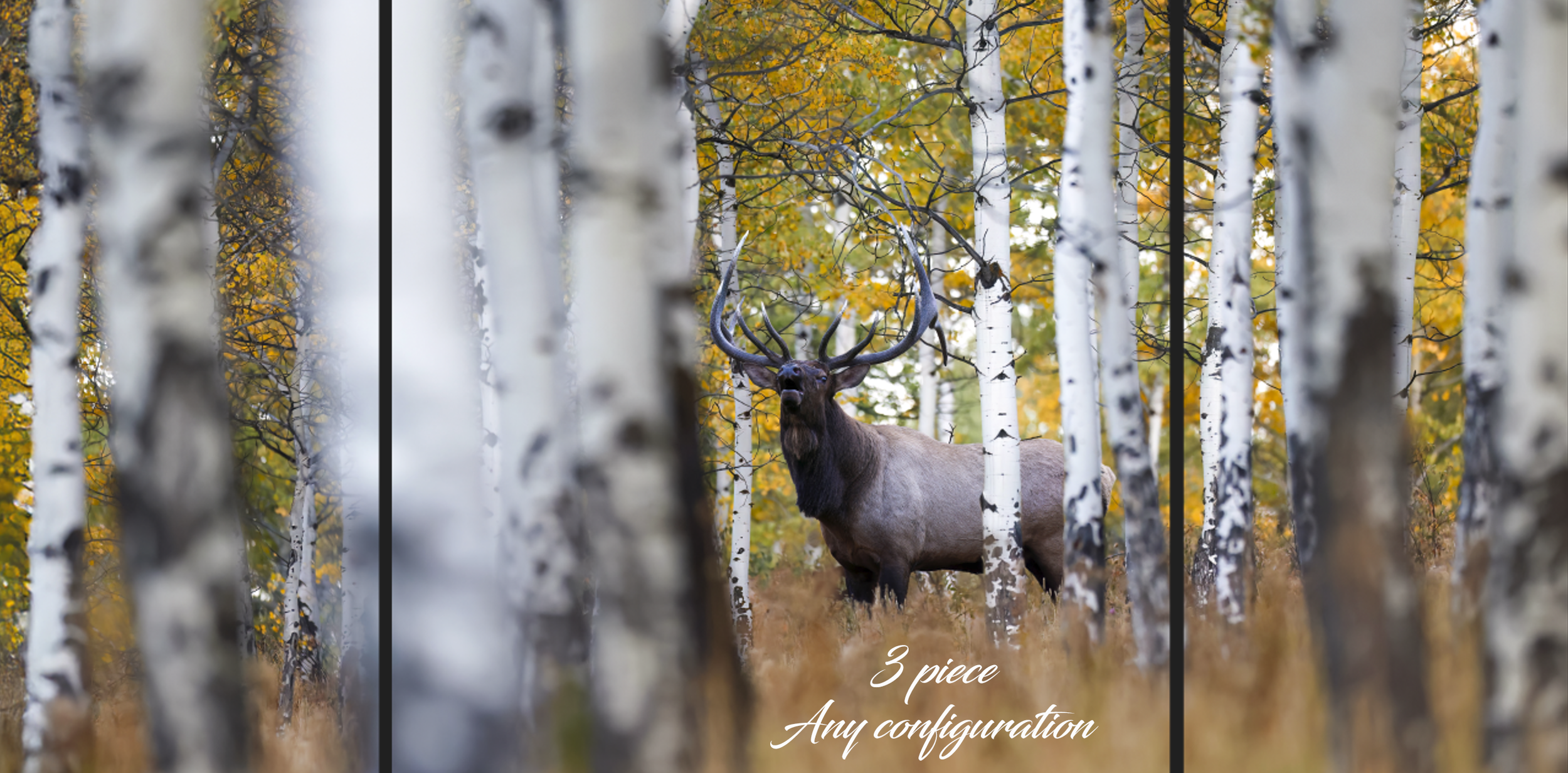 Screenshot 2026-04-08 100527.png