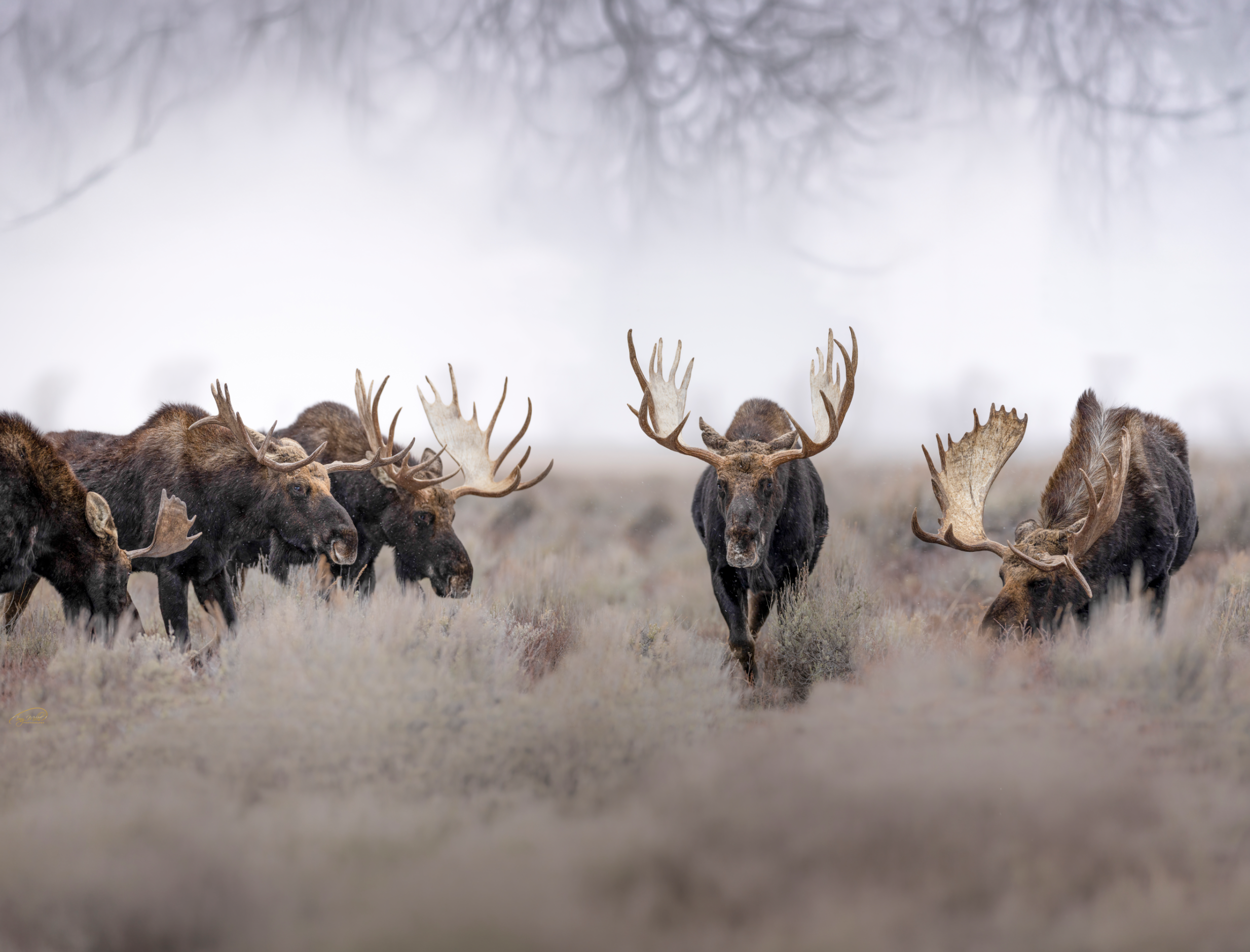 Screenshot 2026-03-14 173713.png