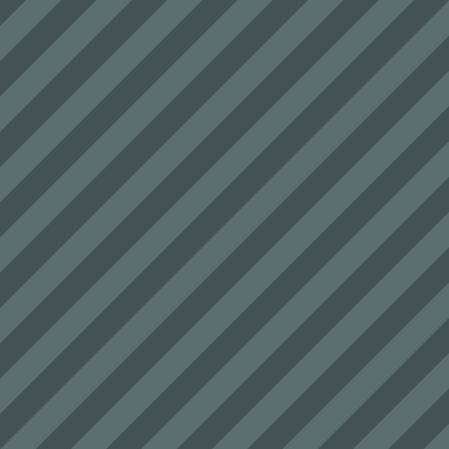 HypeContest_Portfolio.gif