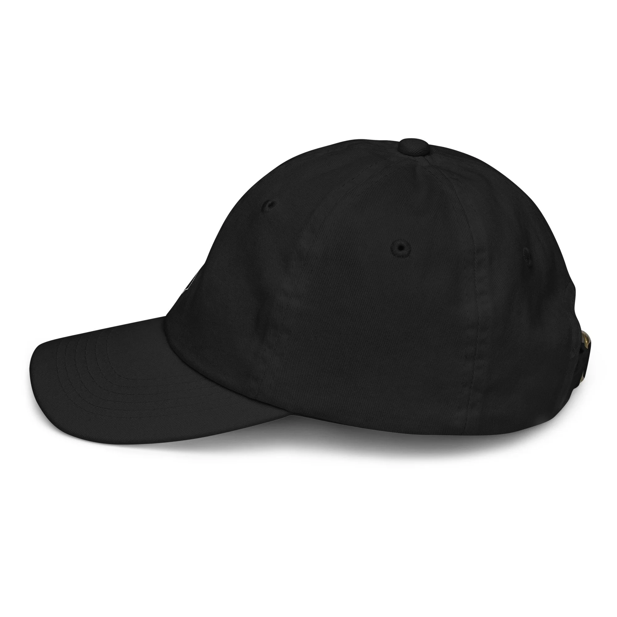 youth-baseball-cap-black-left-side-6741e37ac76f9.jpg