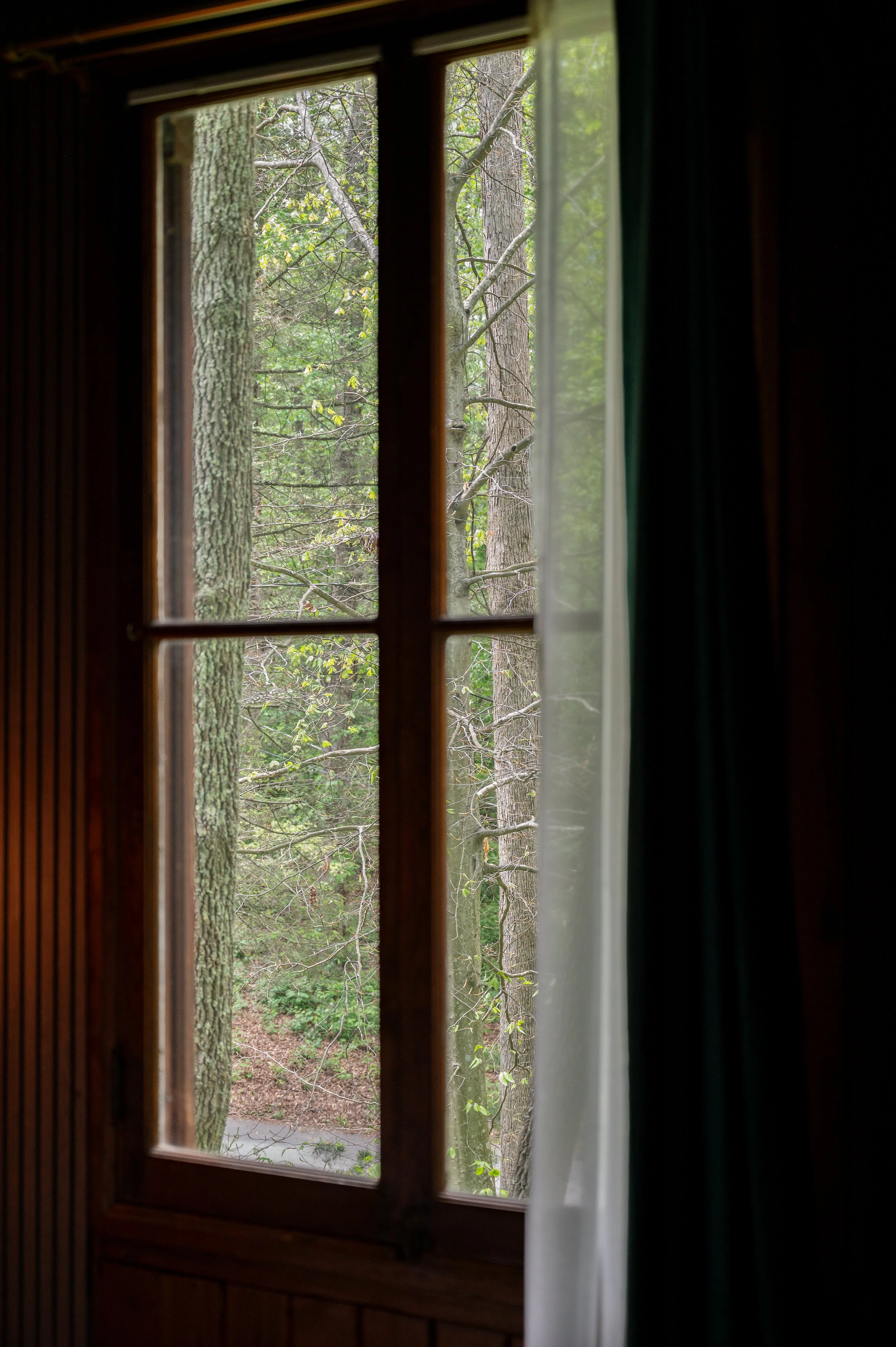 Wildrest-39.jpg
