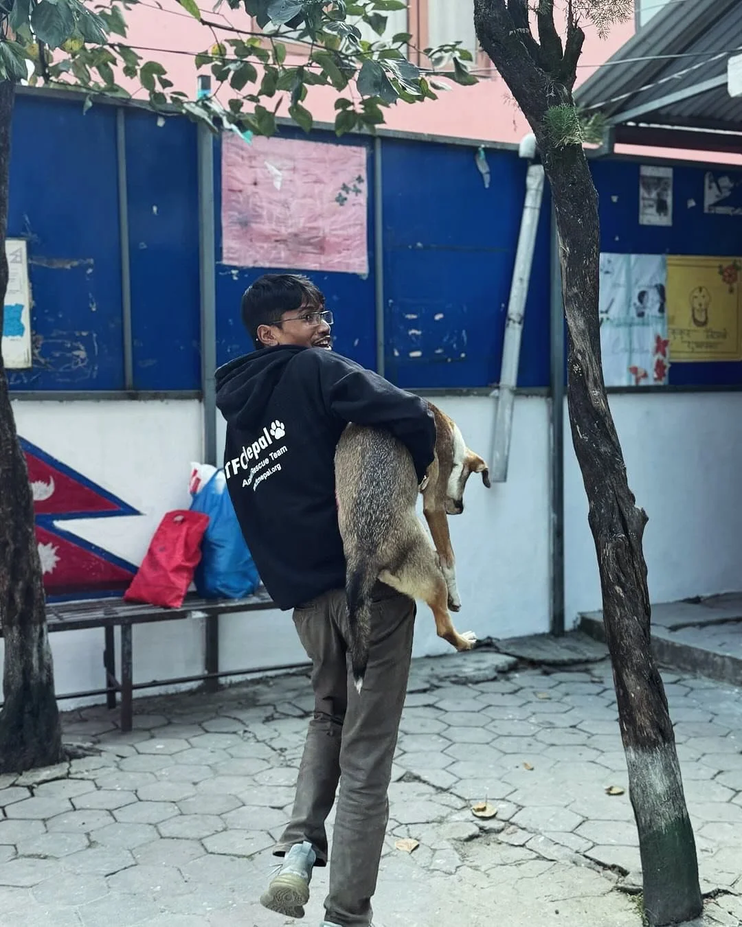 14 dogs and 9 cats spayed in Kathmandu Nepal. Many thanks to our Nepal team for great work. It doesn&rsquo;t take much to be dogs&rsquo; best friends. #100 dogs #dogs #straydogs
