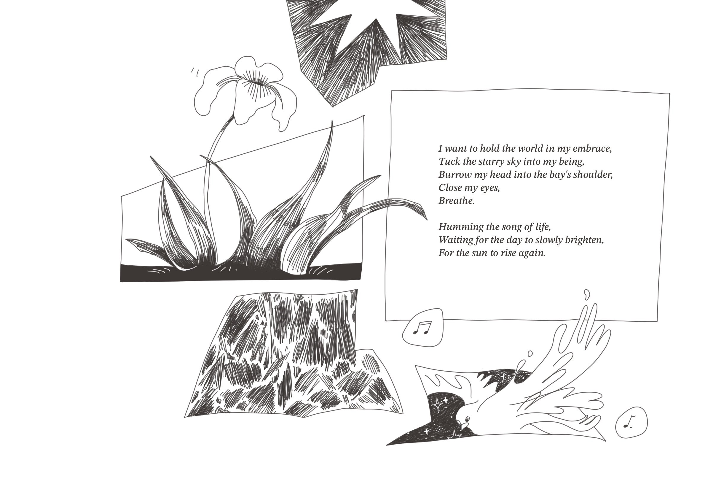 未命名的作品 61.jpg