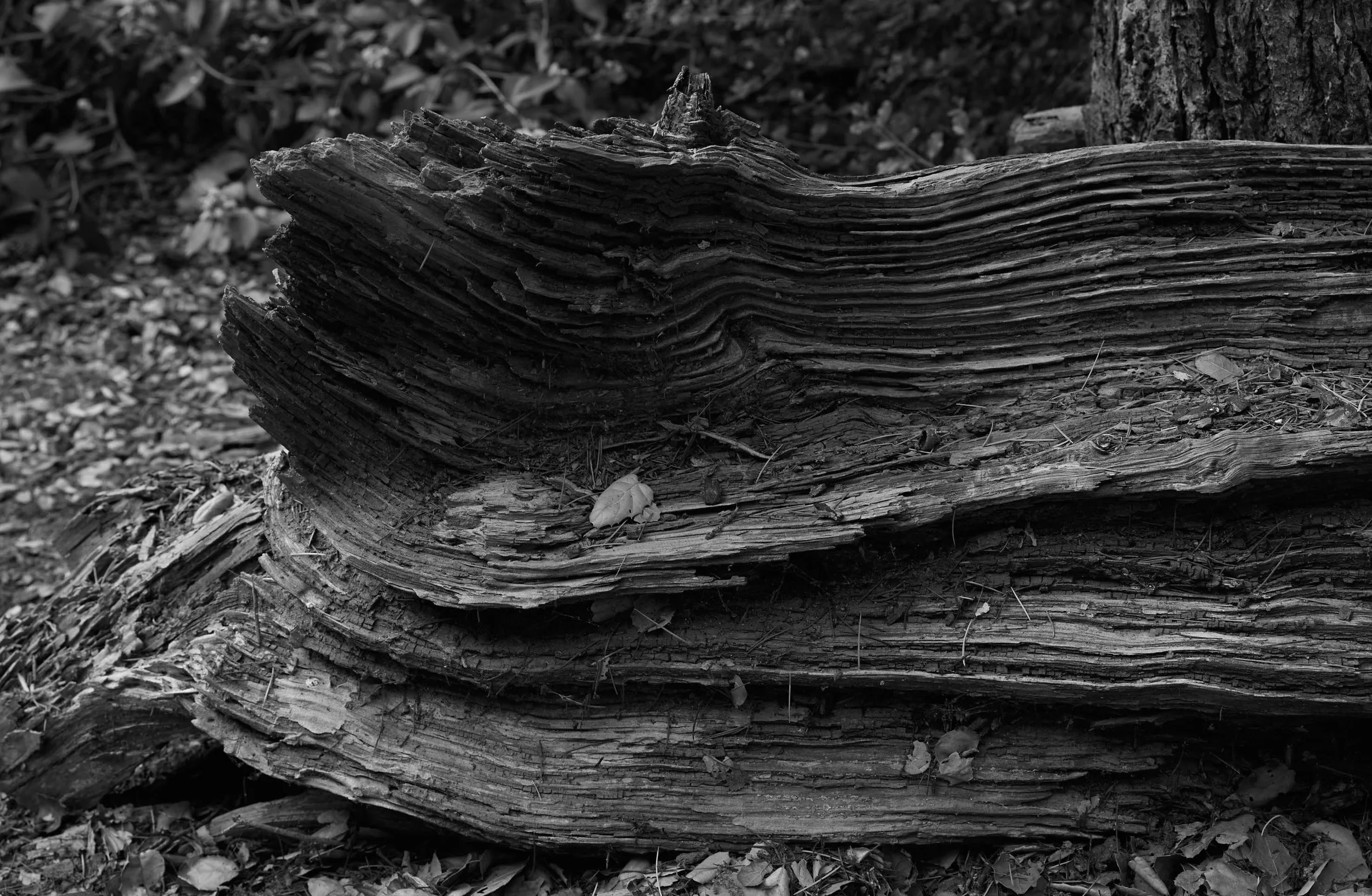 AMAZING MAGAZINE ISSUE 19_Page_151.jpeg