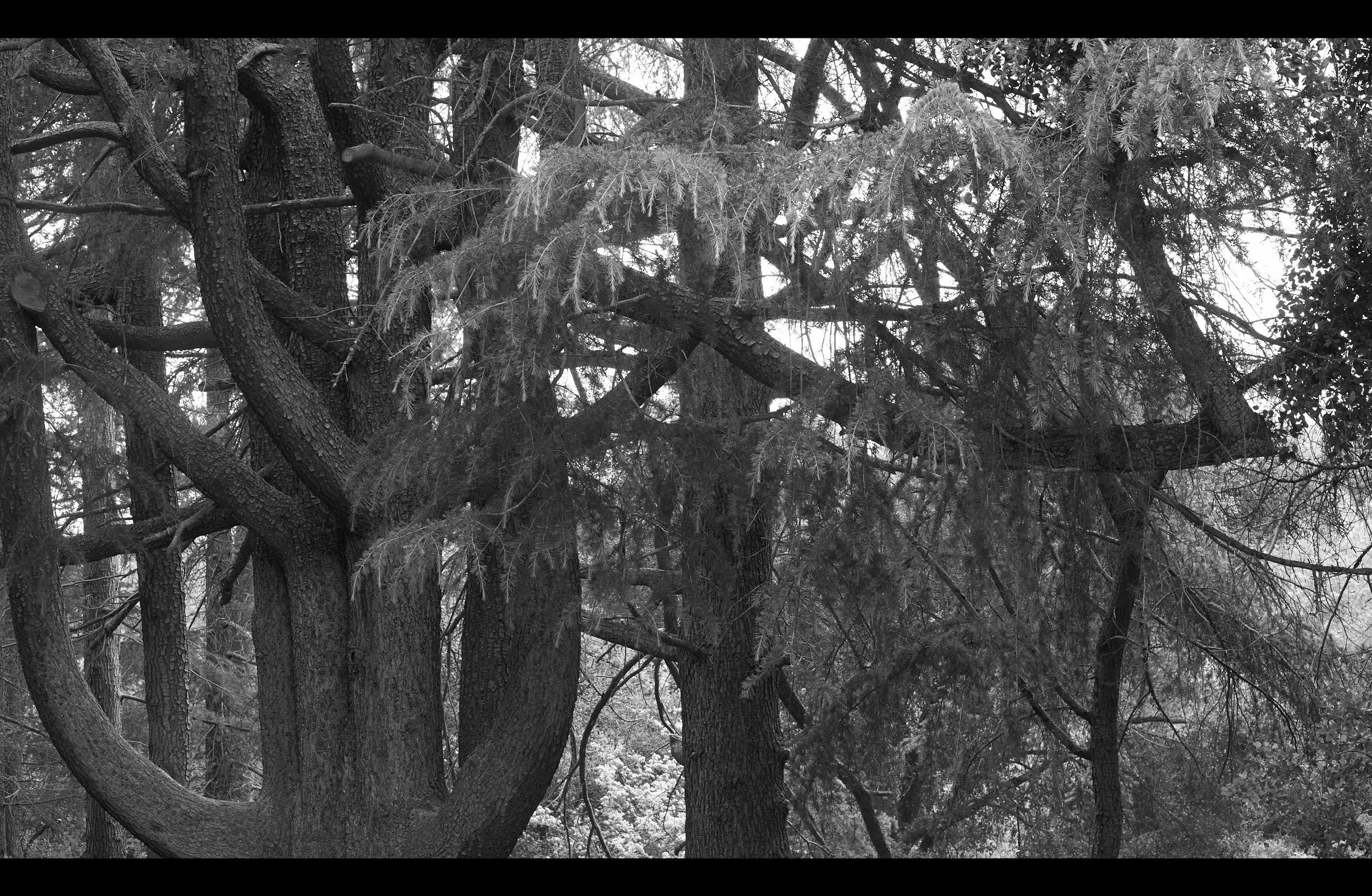 AMAZING MAGAZINE ISSUE 19_Page_146.jpeg