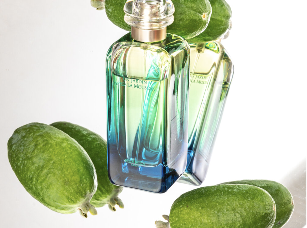 Screenshot 2025-01-06 at 7.10.27 PM.png