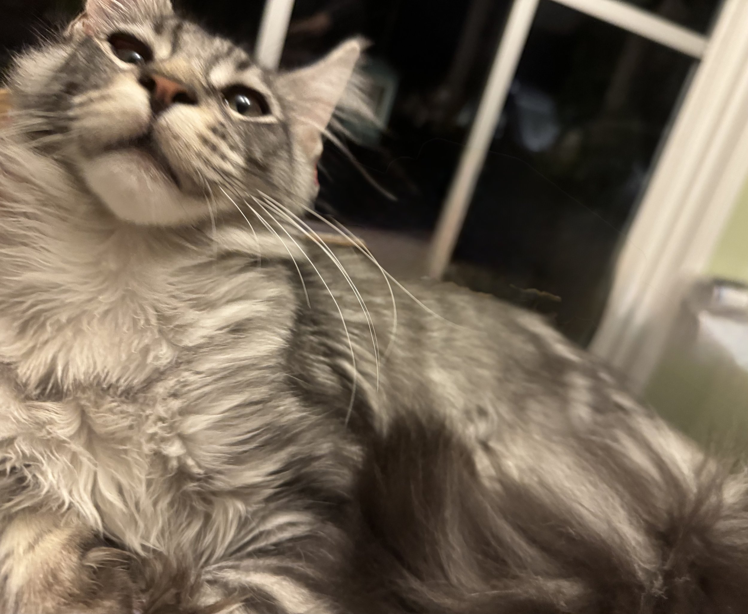 IMG_6857.jpeg