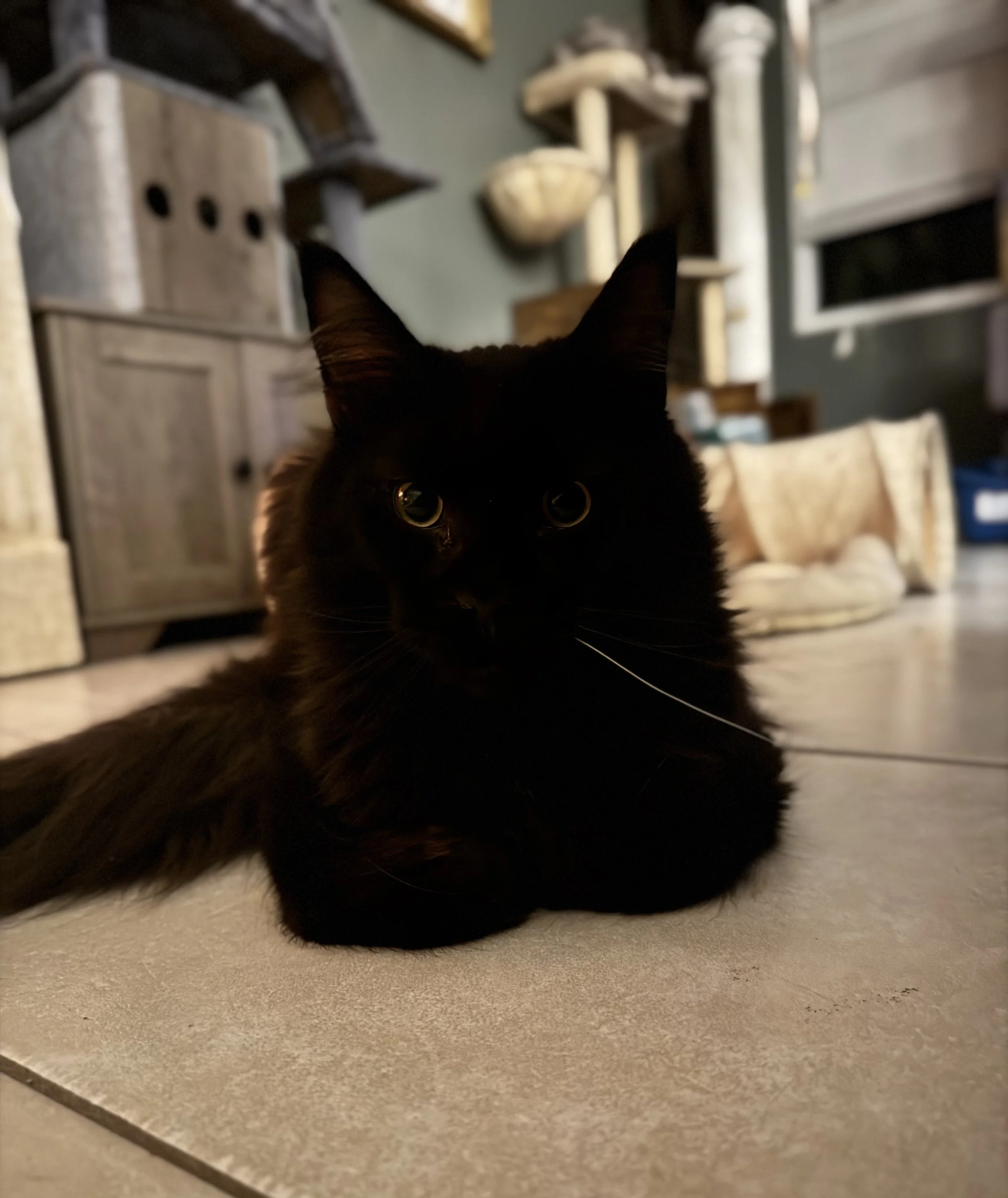 IMG_3869.jpeg