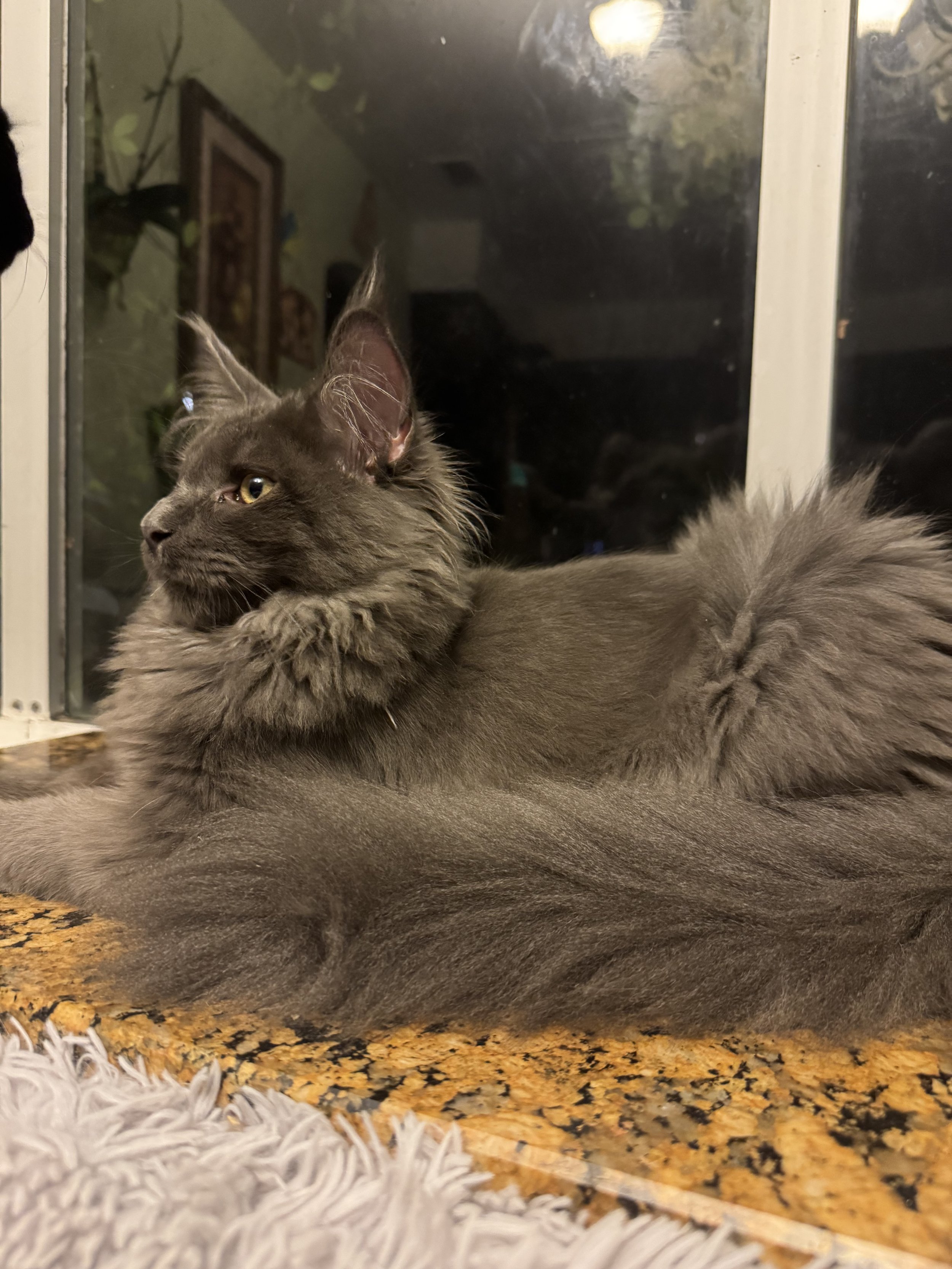 IMG_7002.jpeg