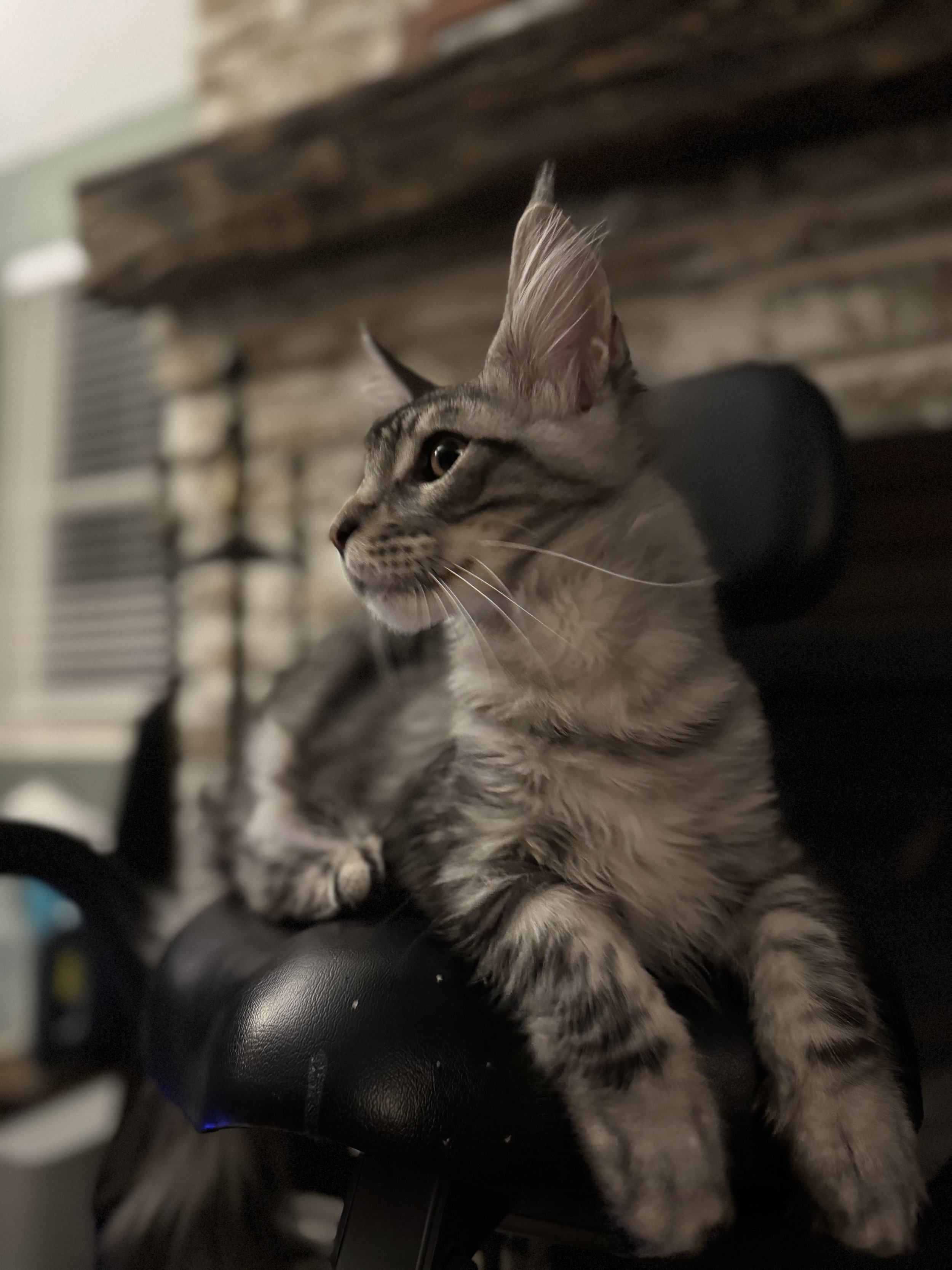IMG_6701.jpeg
