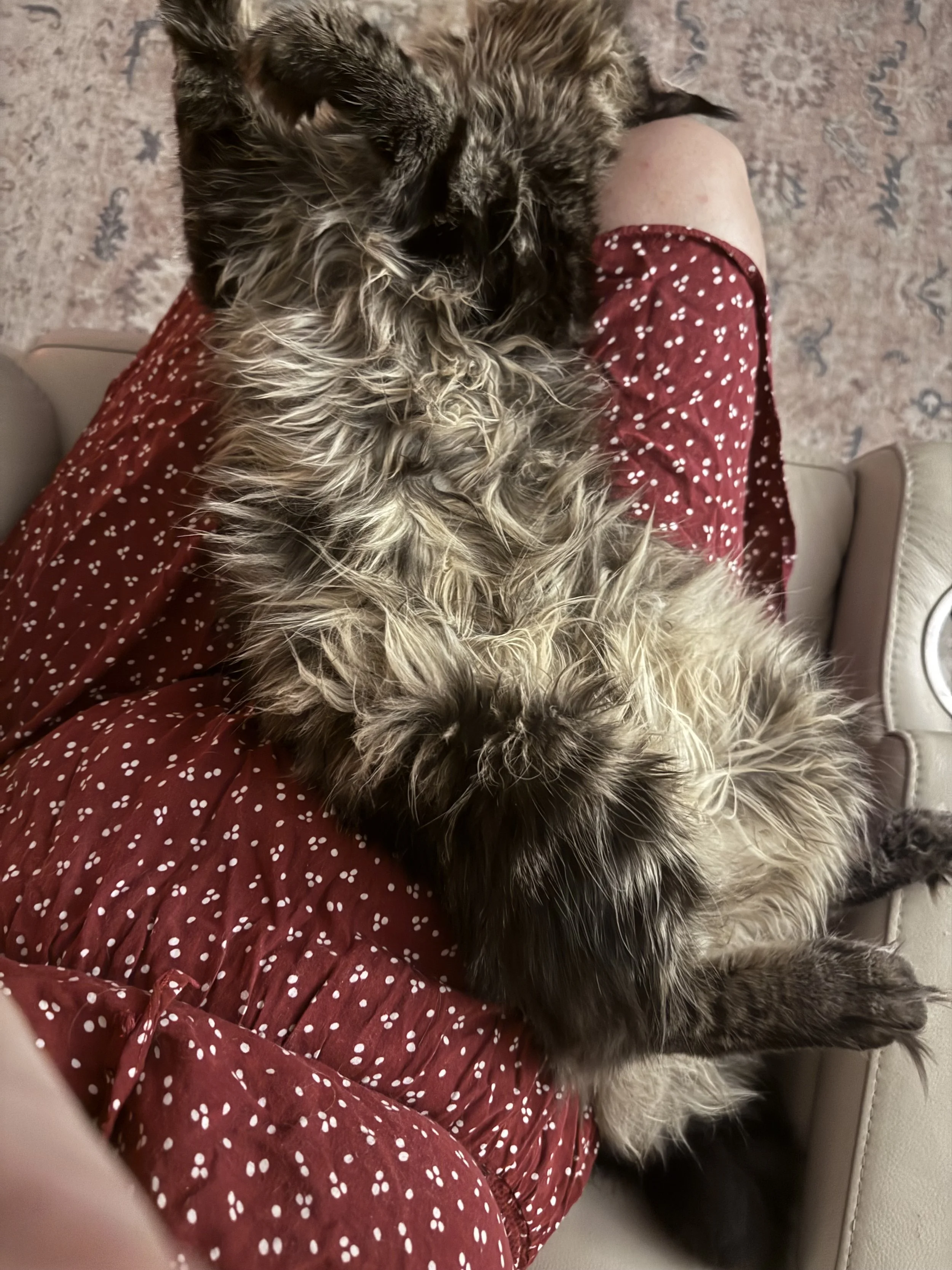 IMG_2613.jpeg