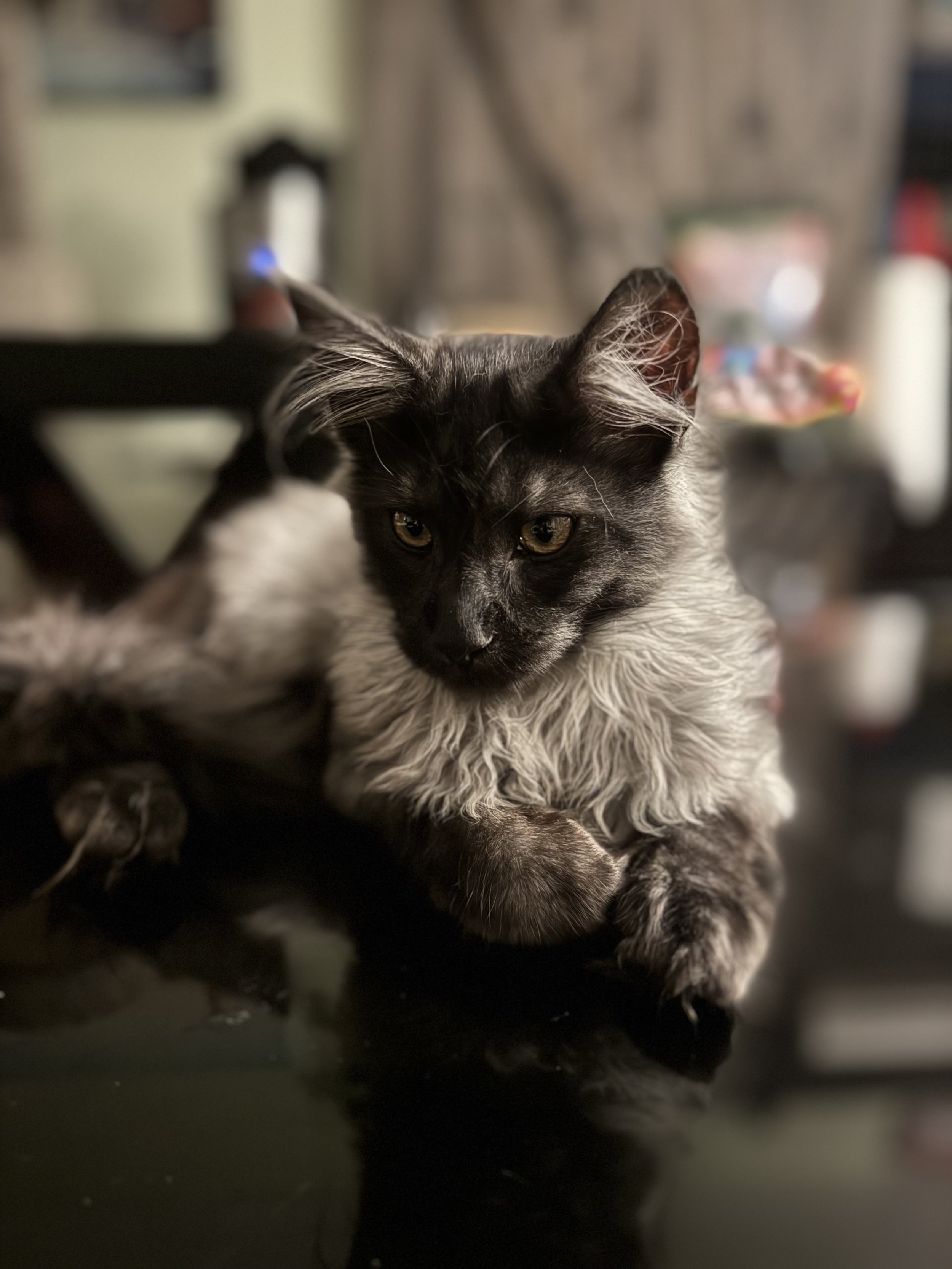 IMG_6715.jpeg