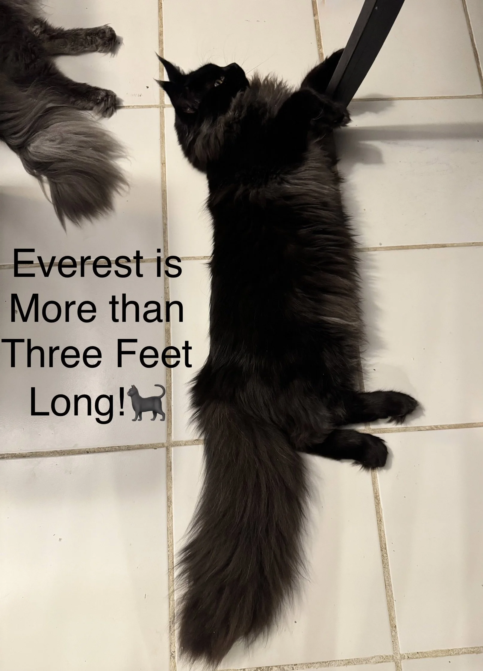IMG_3090.jpeg