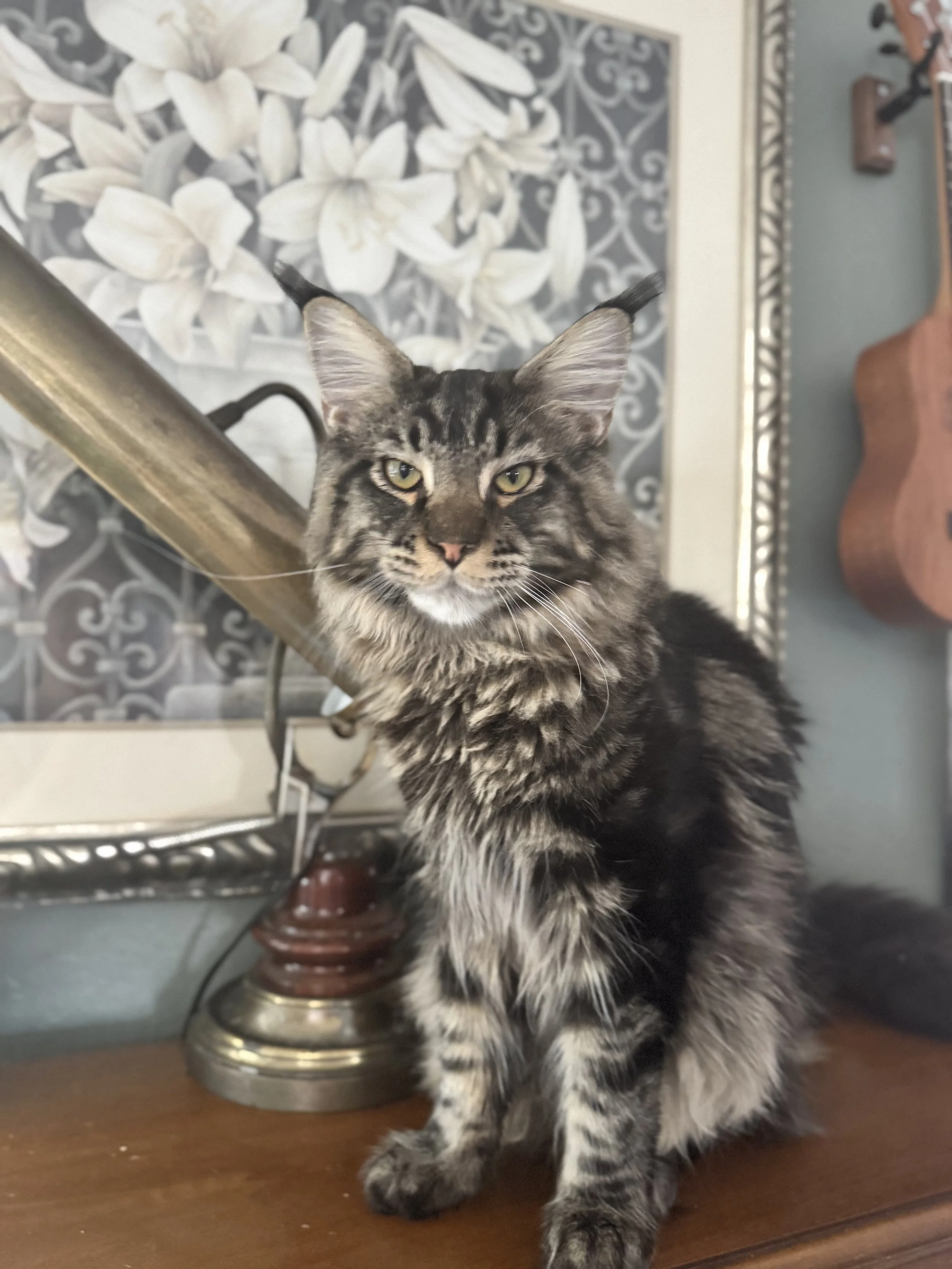 Fauna 🐈 (Click On Me!)