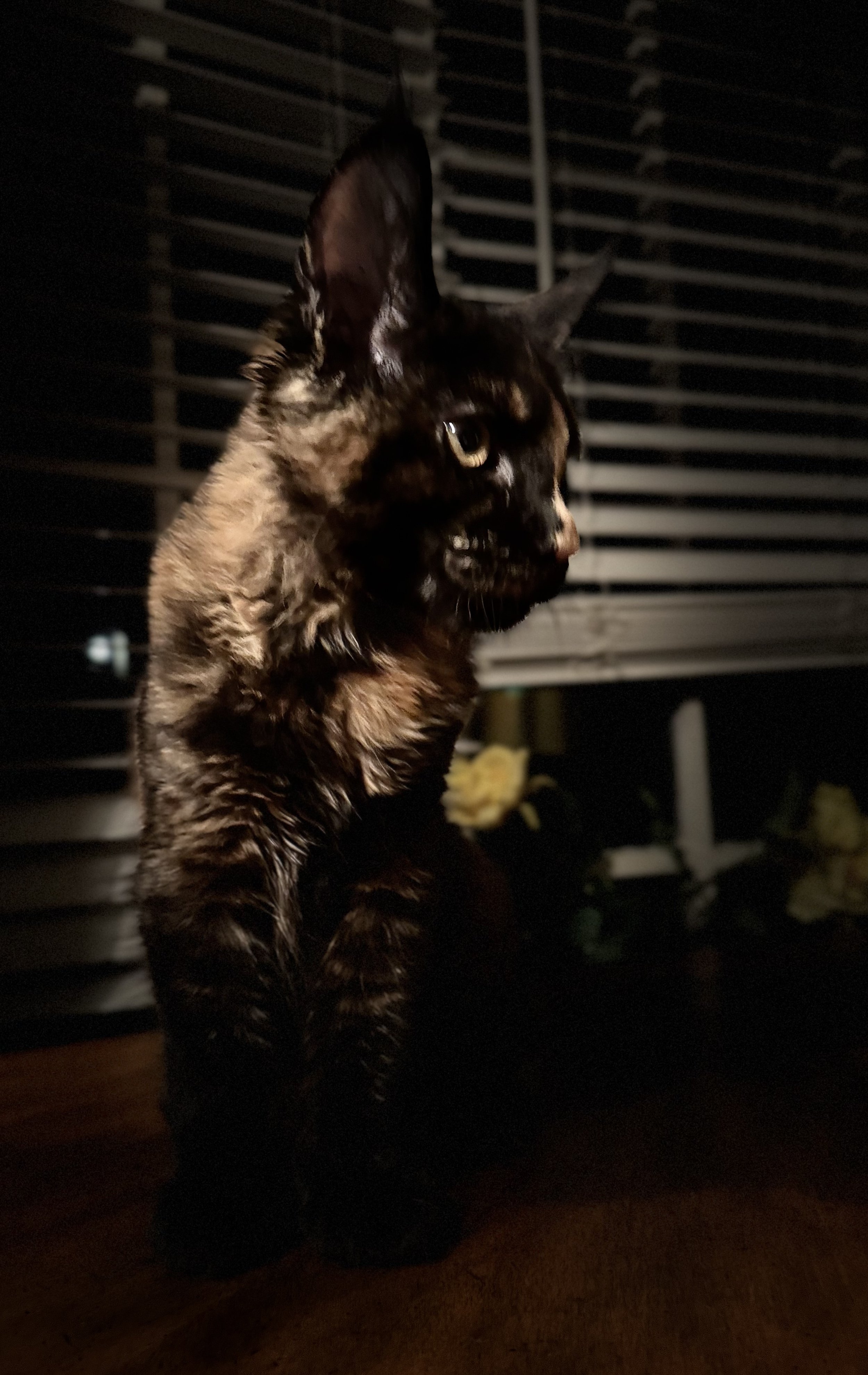 IMG_8191.jpeg