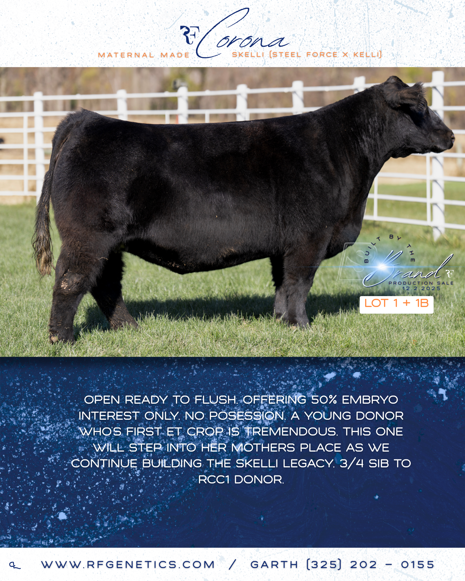1 - Corona Profile Page.png