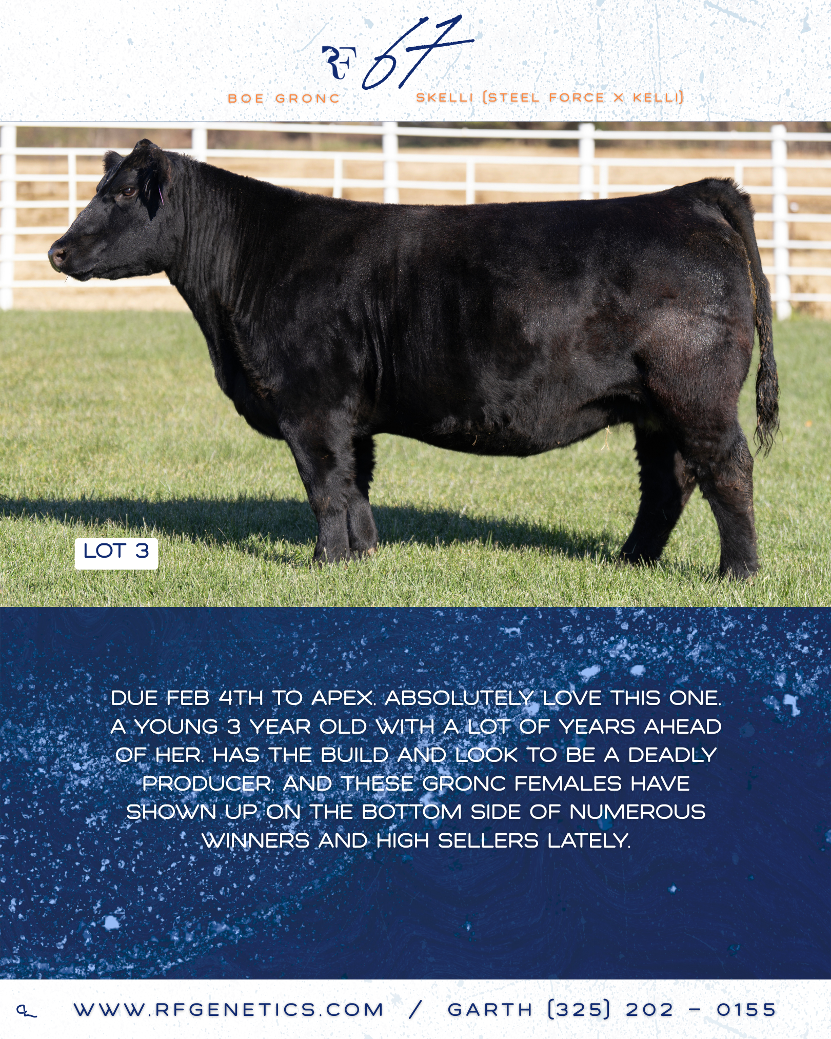 3 - 67 Profile Page.png