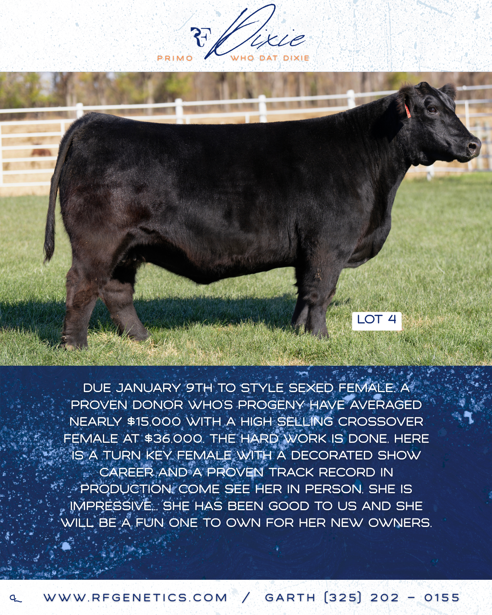 4 - Dixie Profile Page.png