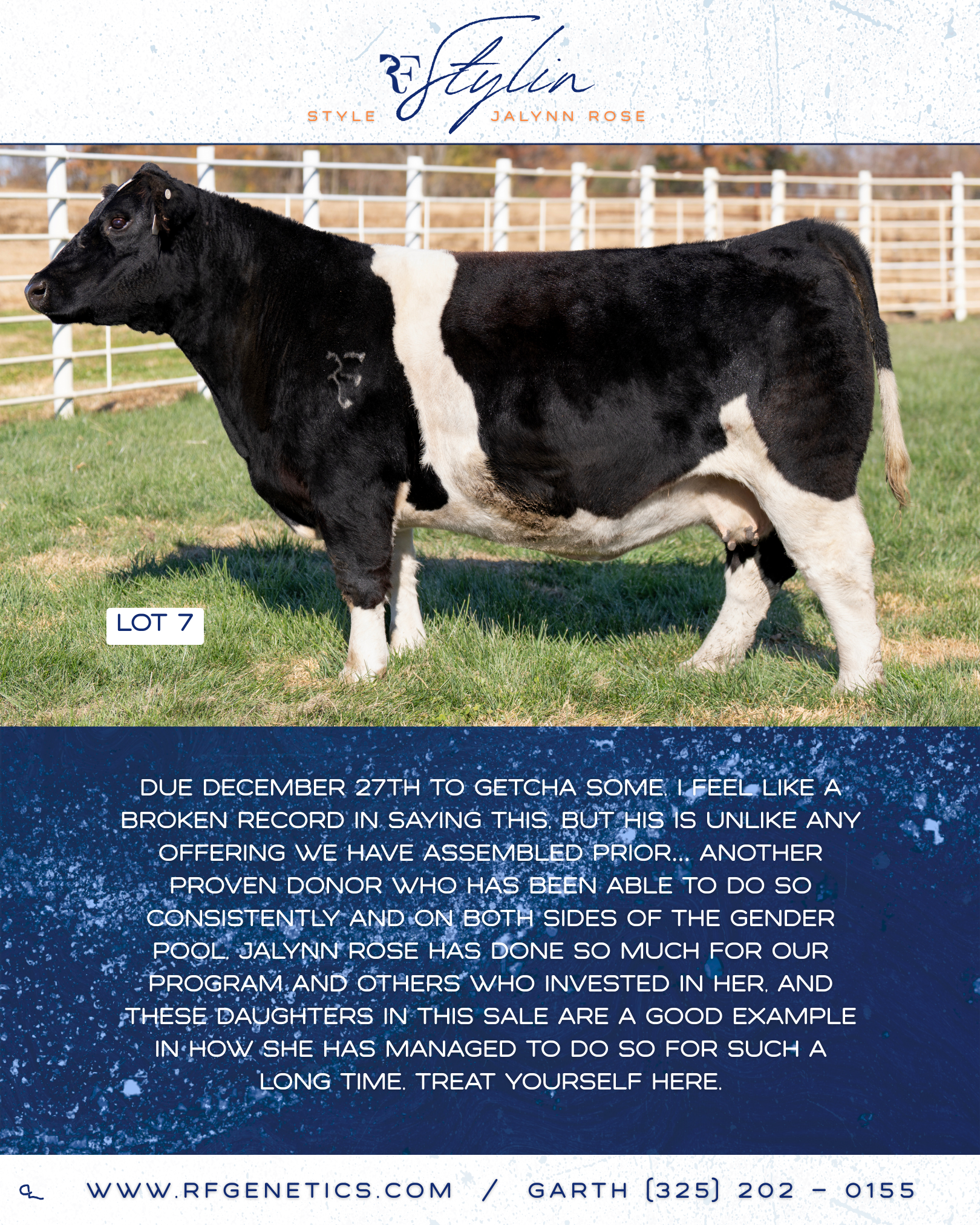 7 - Stylin Profile Page.png