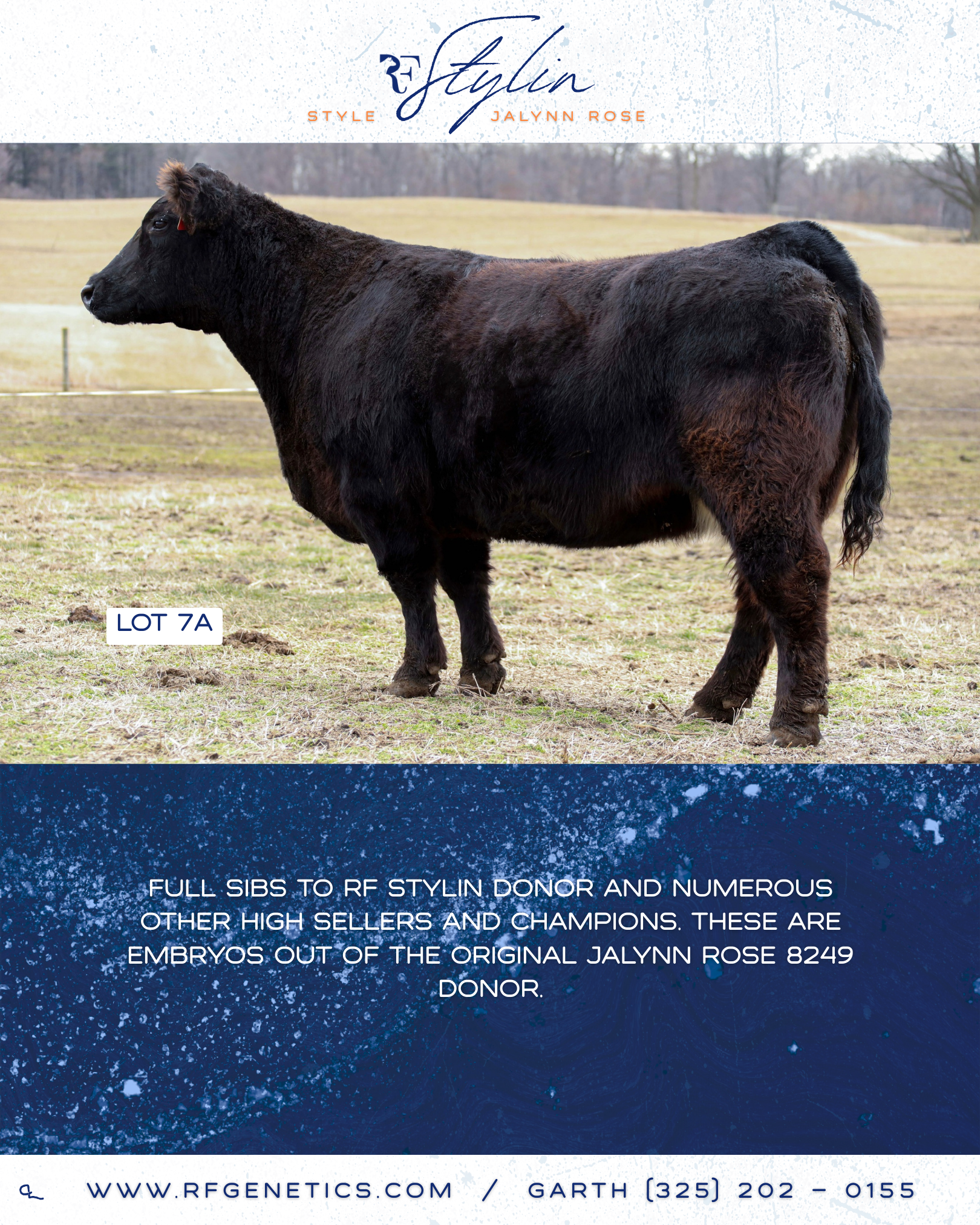 7A - Stylin Embryos Profile Page.png