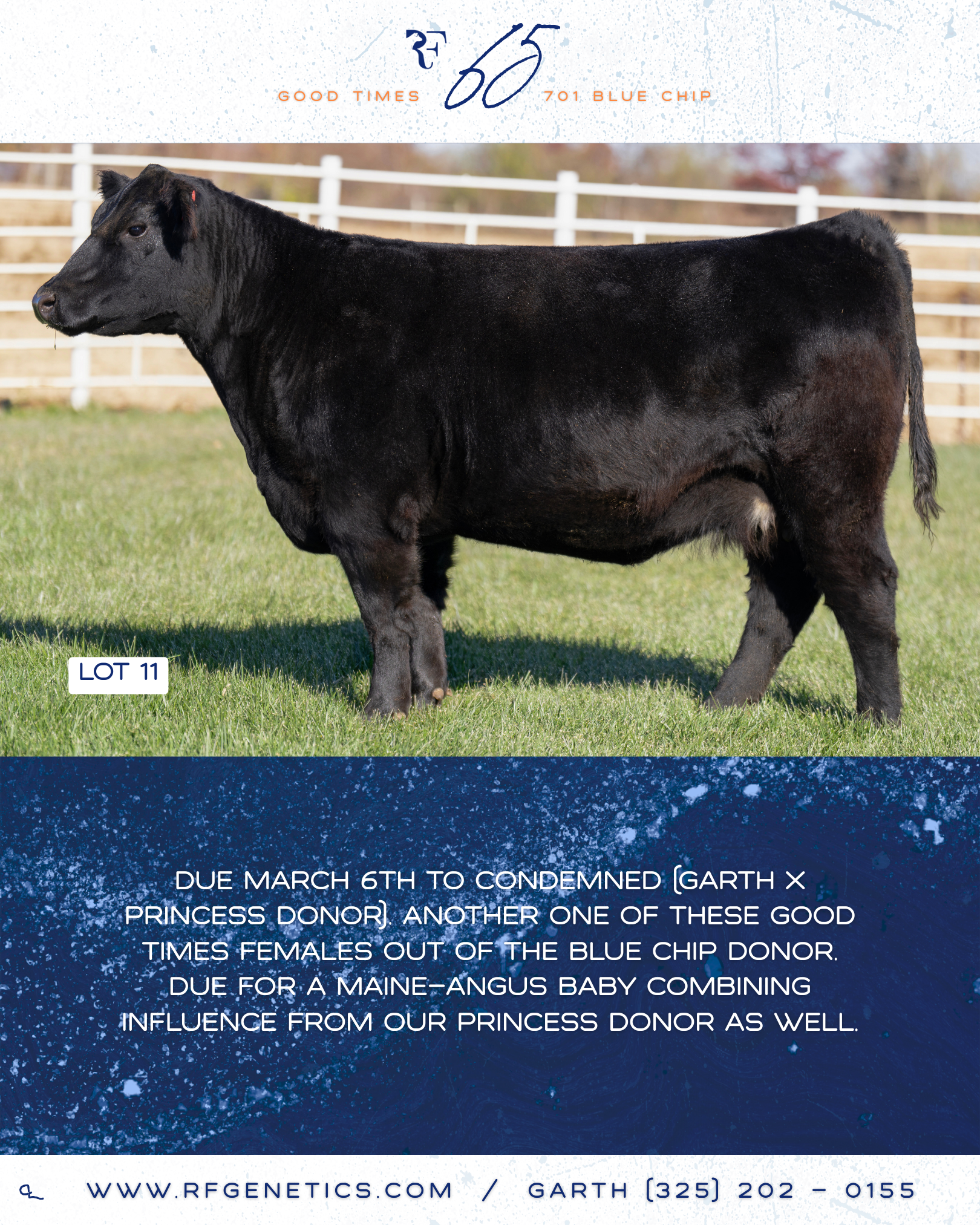 11- 65 Profile Page.png