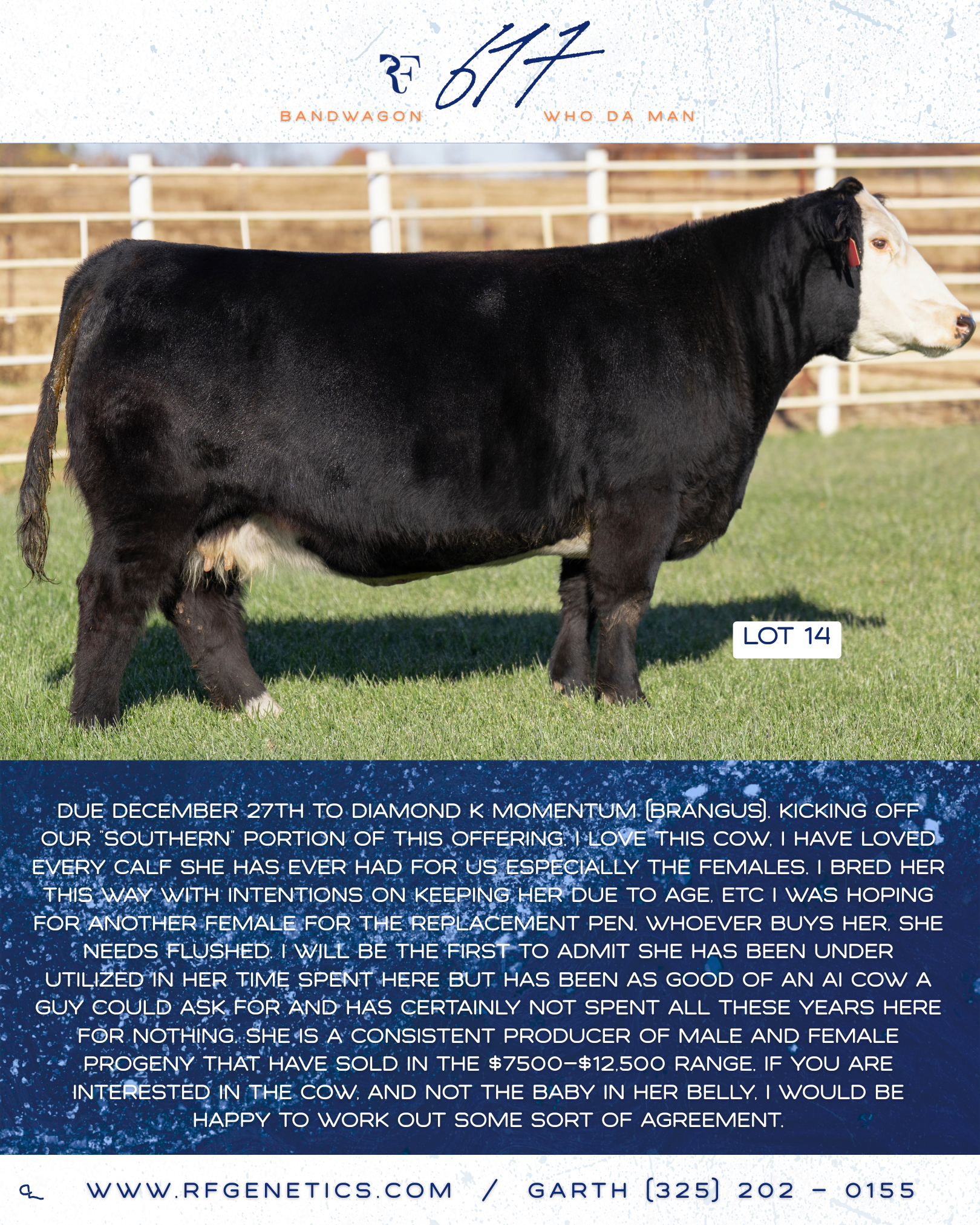 14 - 617 Profile Page.png