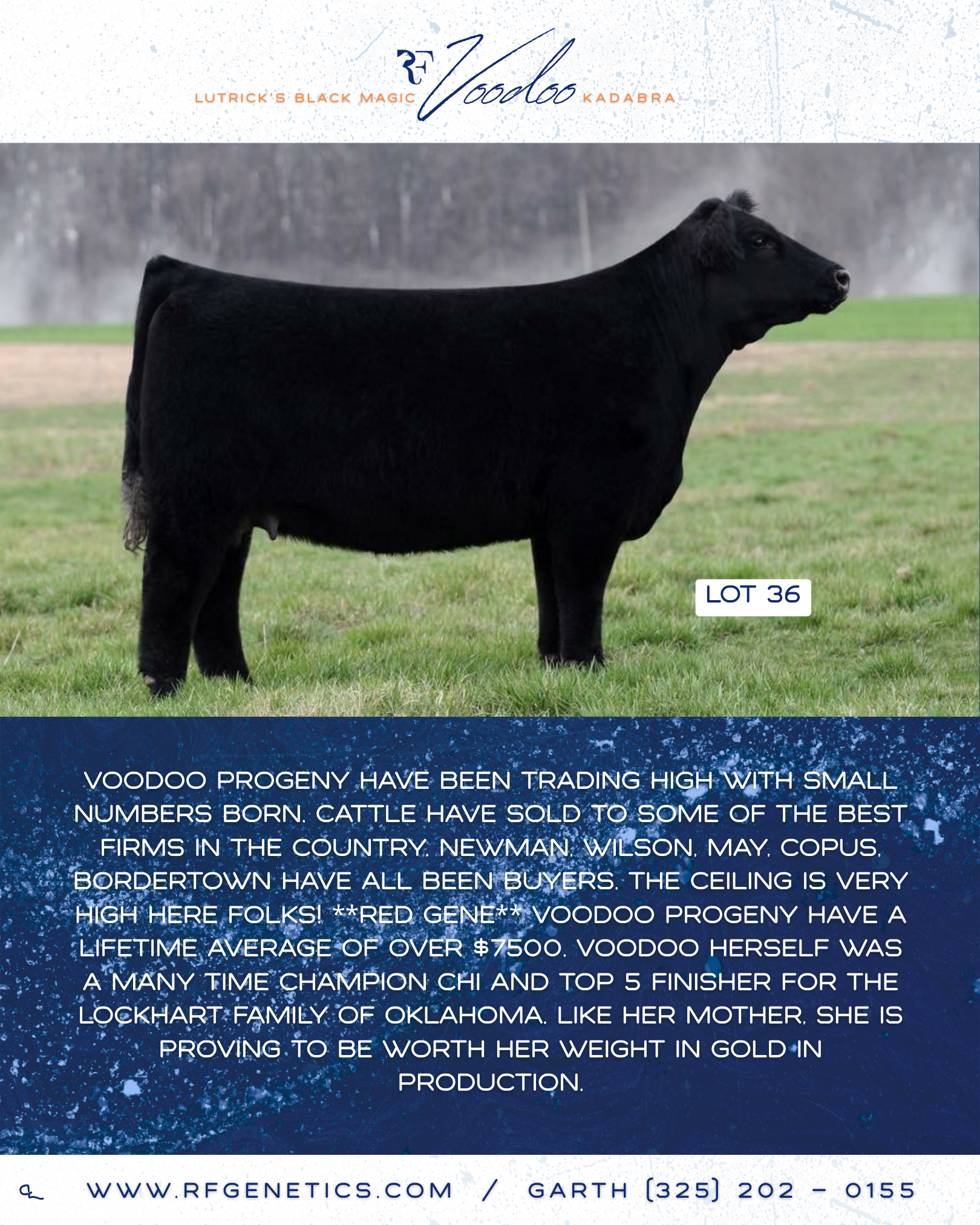36 - Voodoo Profile Page.png