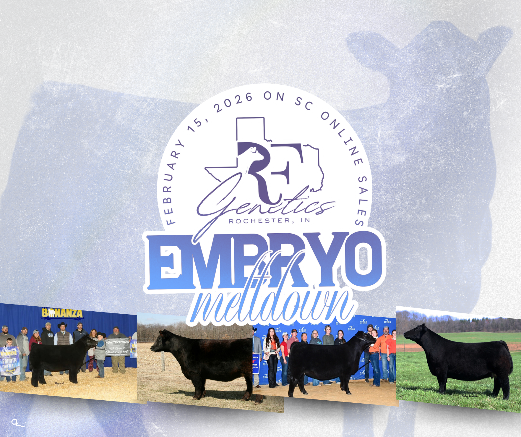 The Meltdown: Embryo Clearance Event