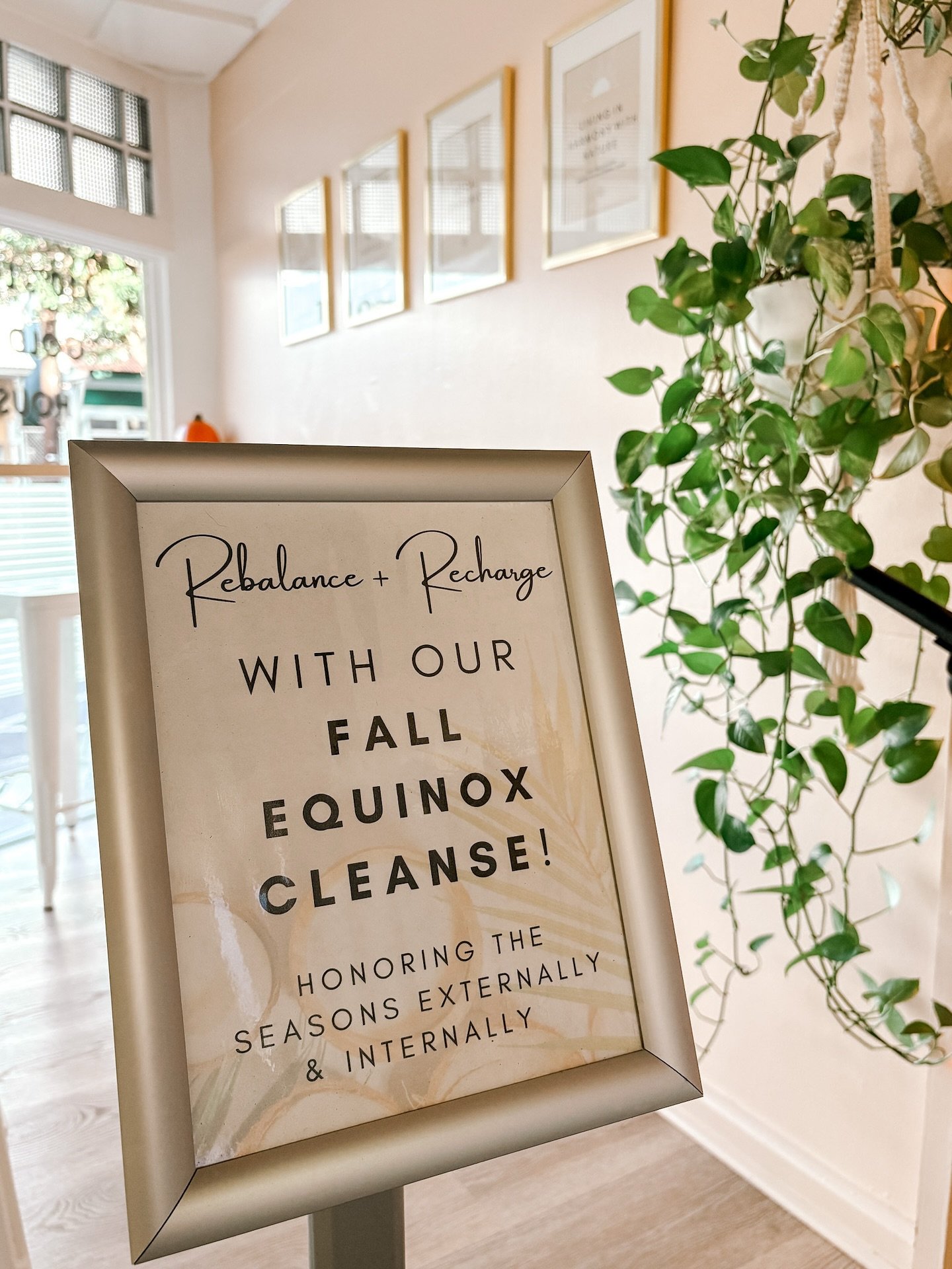 🍂 Fall Equinox Cleanse 🍂

As the light and dark come into balance, this season reminds us to pause, release, and realign. Spiritually, this season marks a time of harvest and transformation &mdash; a chance to shed what no longer serves you and nou