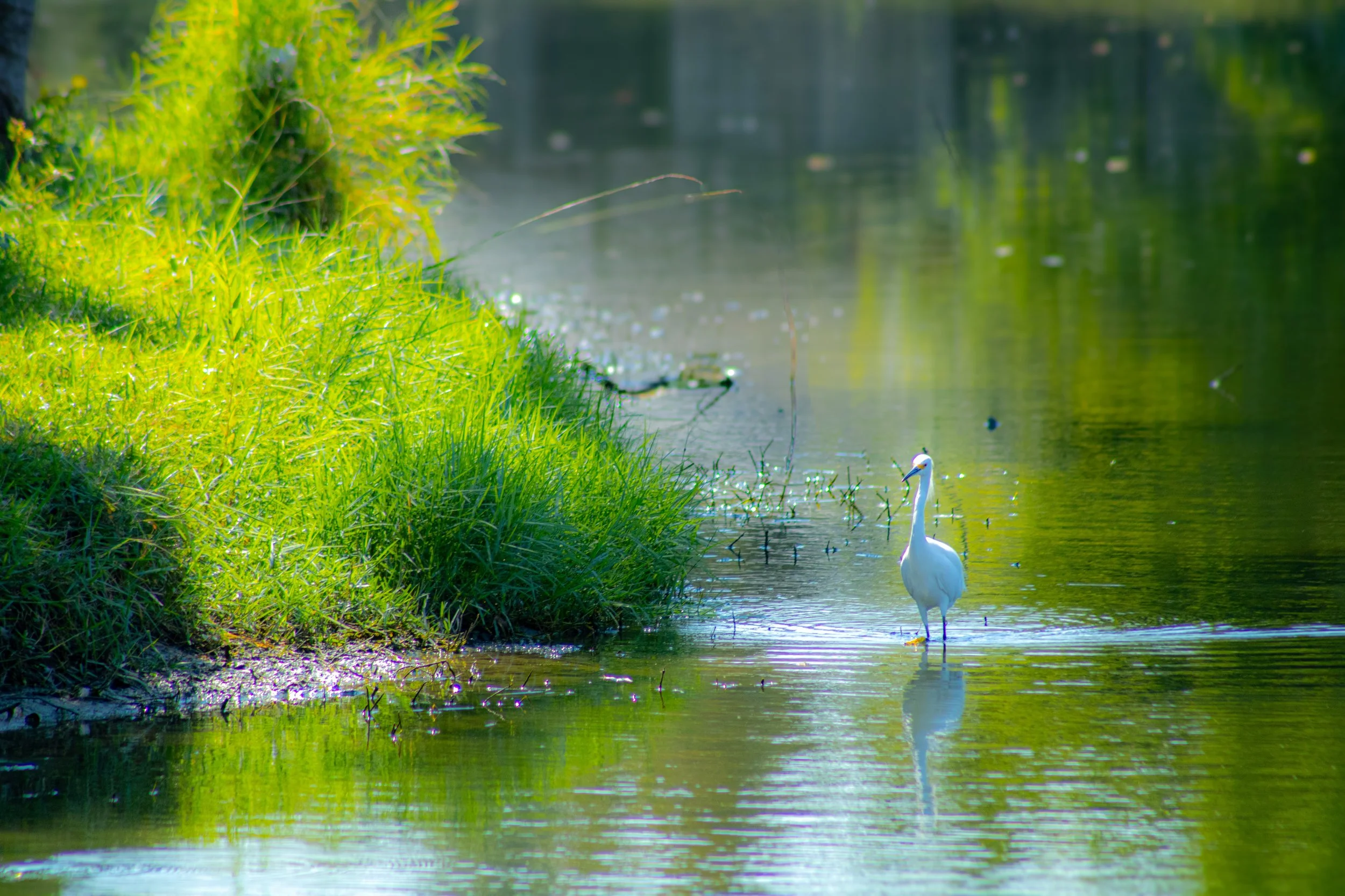 Generative Fill 7.jpg