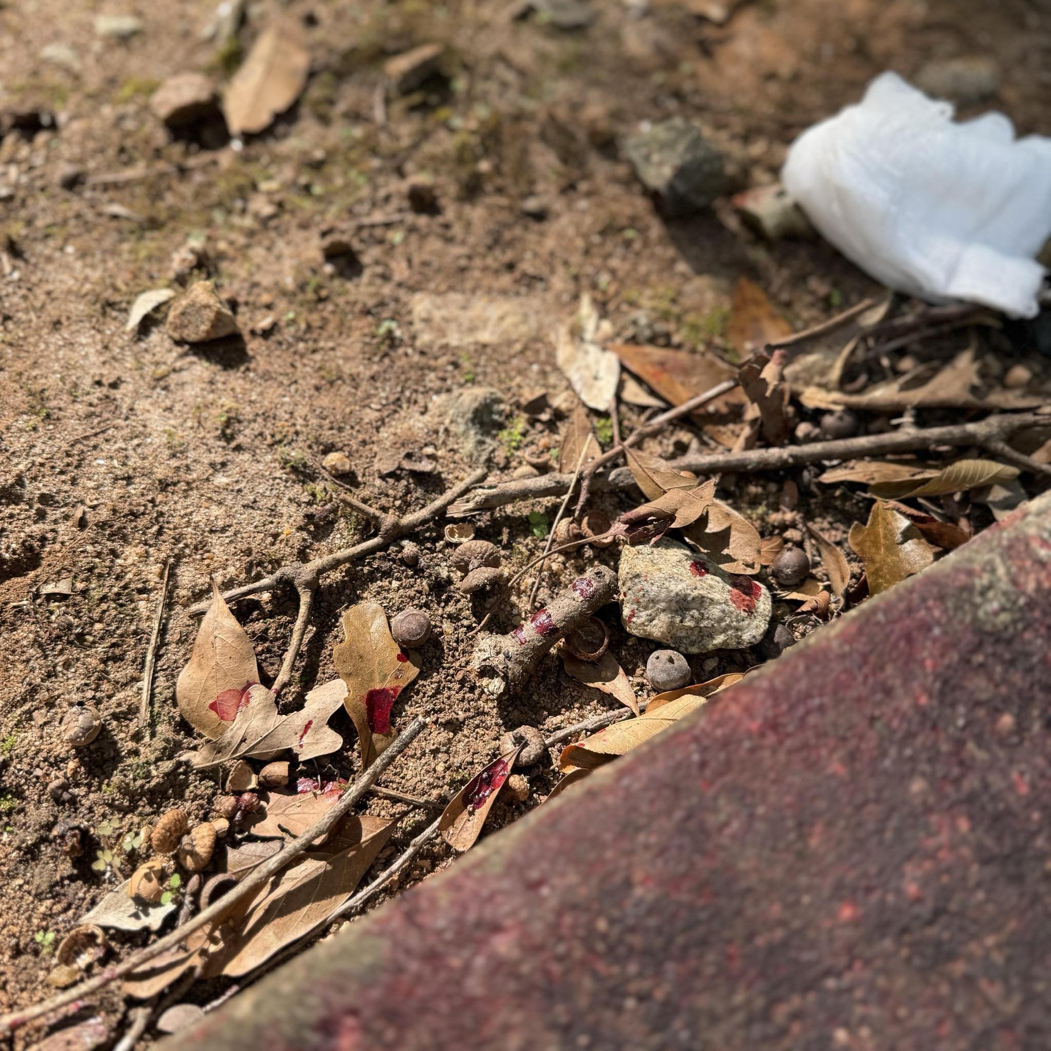 Blood and debris from Santonio Coleman's attack that remained for days after the incident.