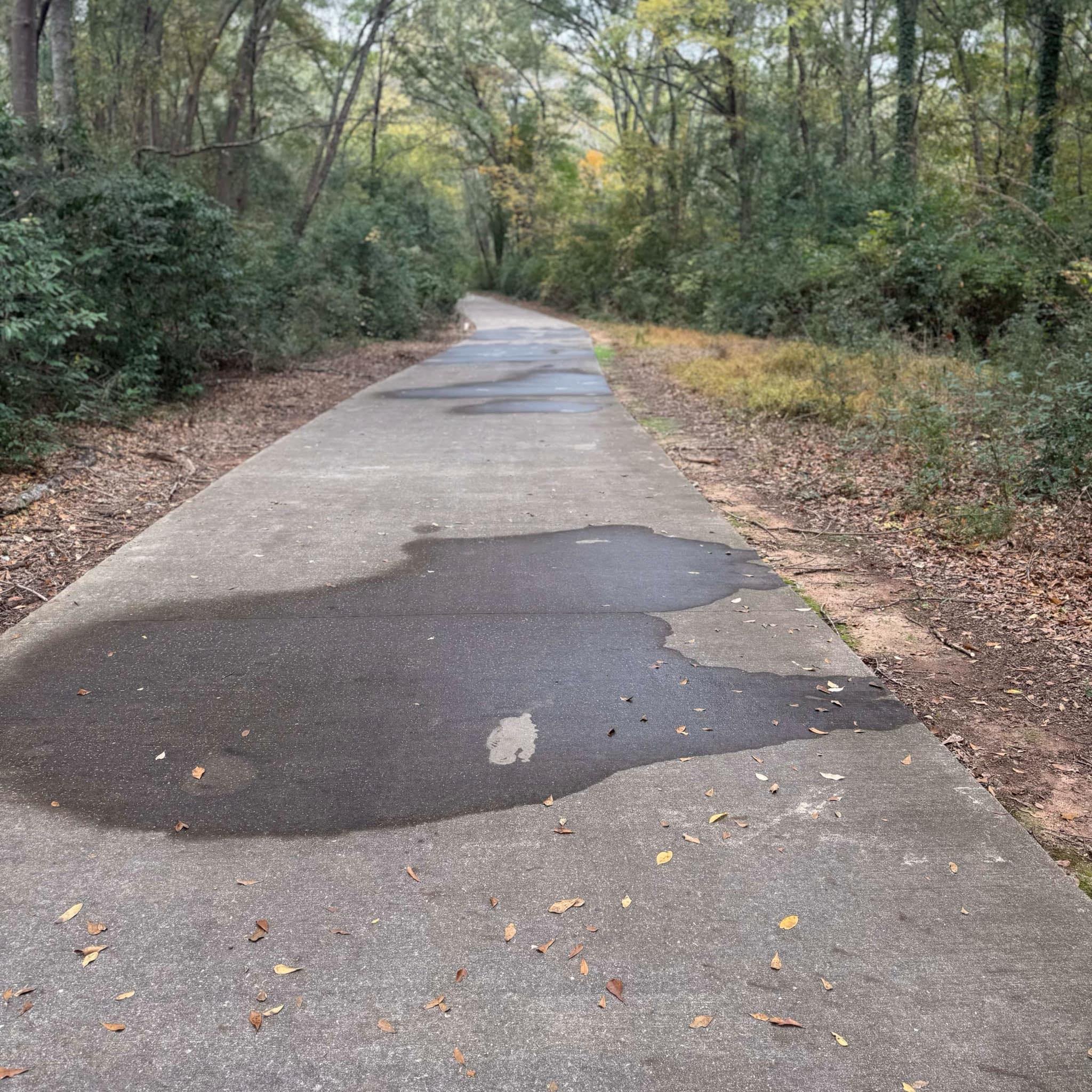 Good Samaritan photos of the power washed areas of the trail