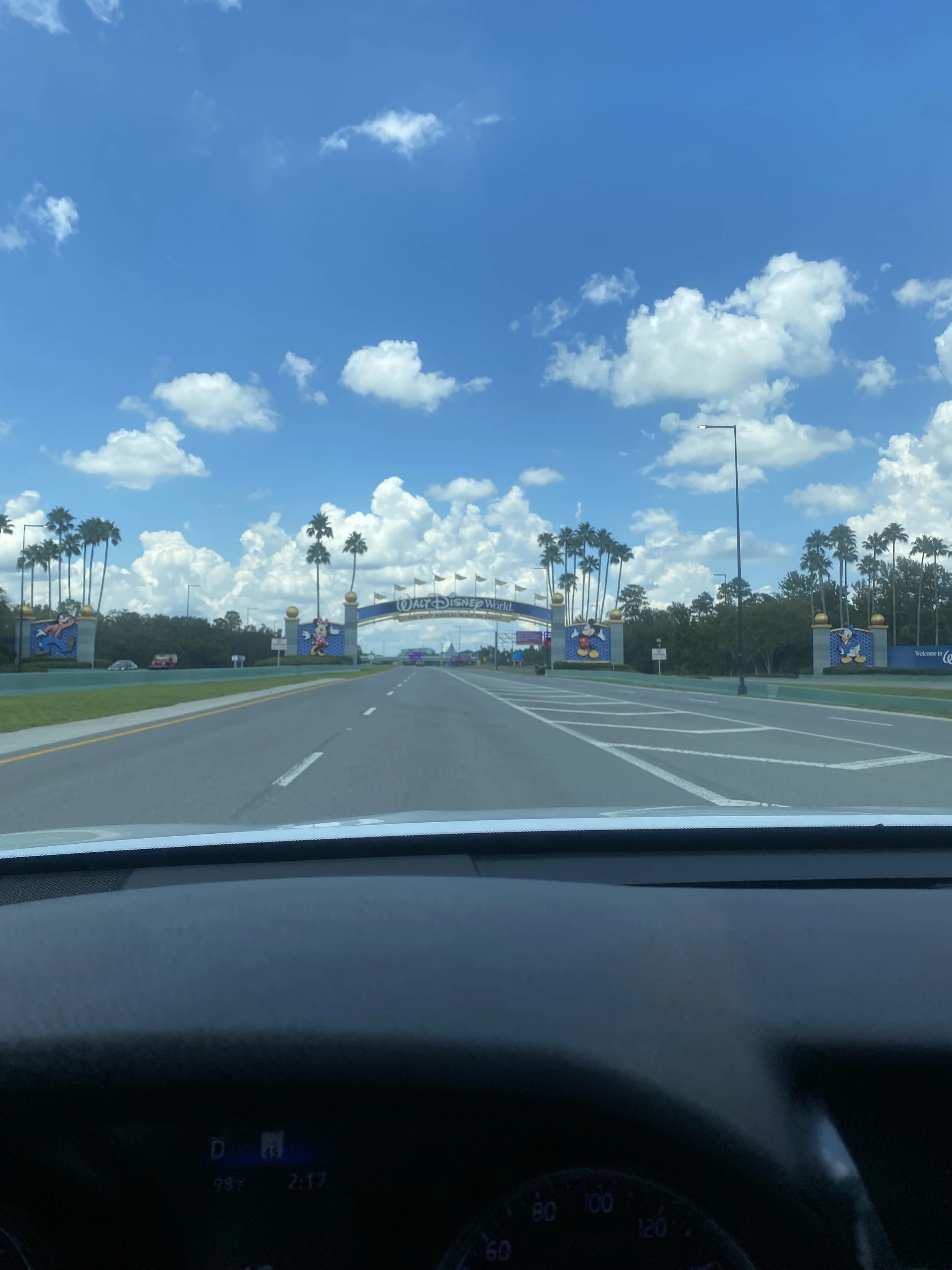 IMG_9905.jpeg