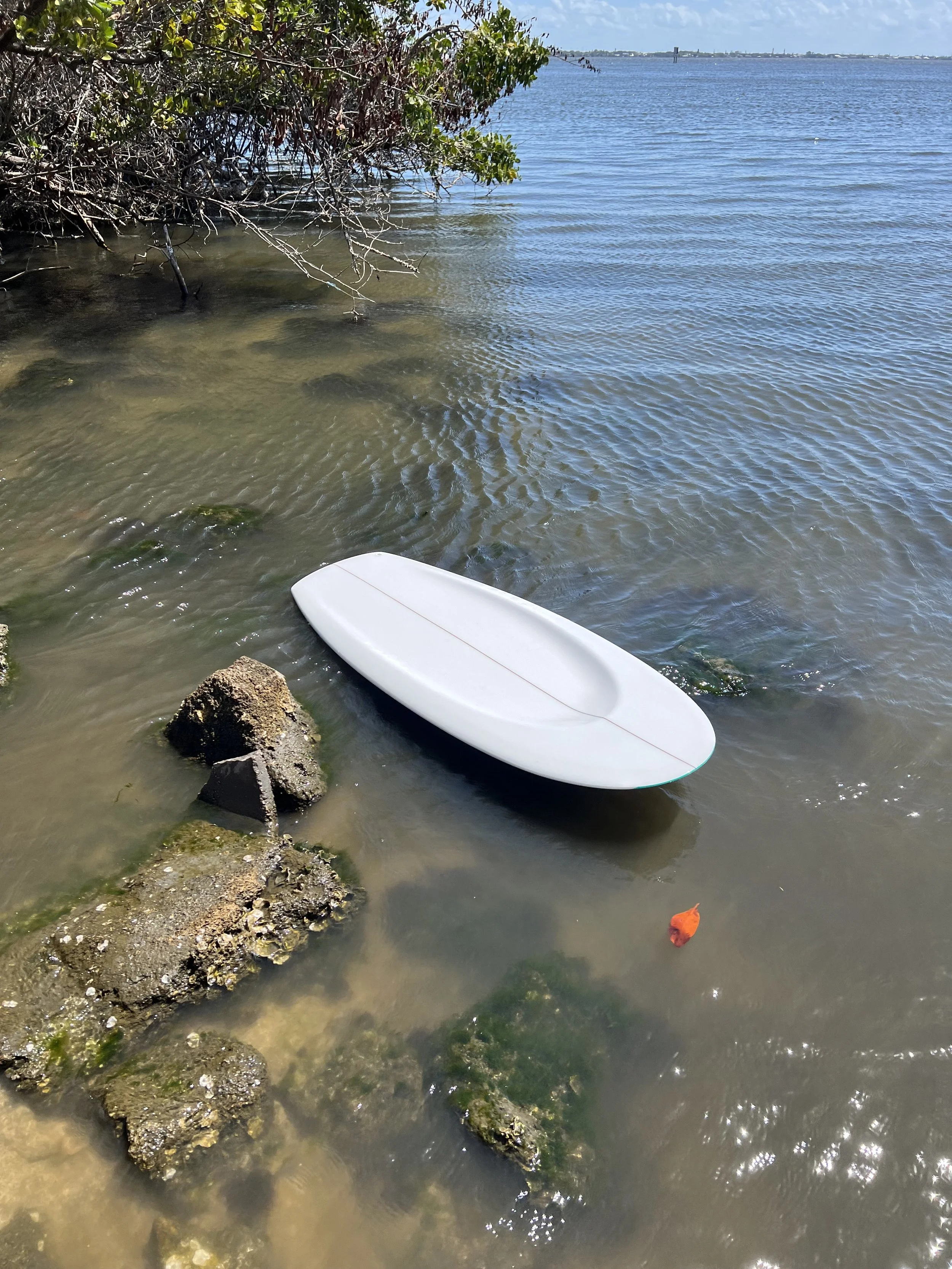 IMG_5840.jpeg (Copy)