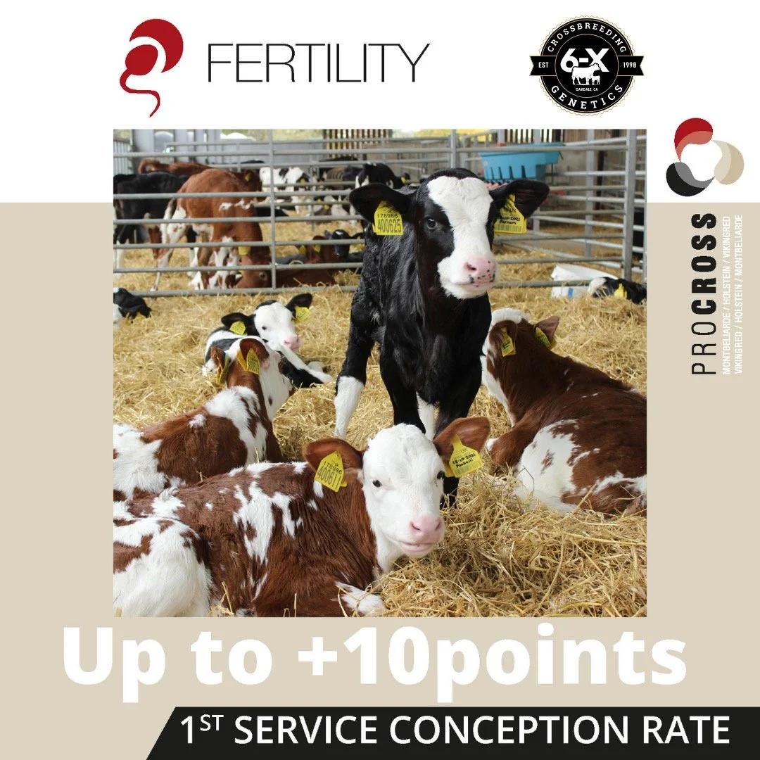 Every great business starts with a great foundation. (3) 2.JPEG