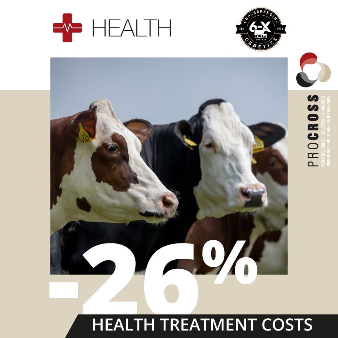 Every great business starts with a great foundation. (1) 2.JPEG