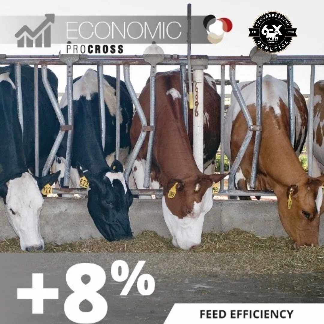 Every great business starts with a great foundation..JPEG