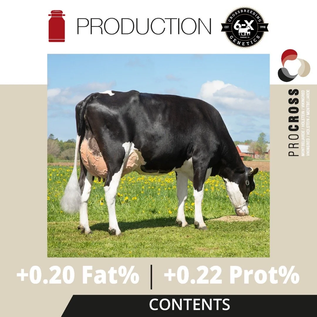 Every great business starts with a great foundation. (1).JPEG